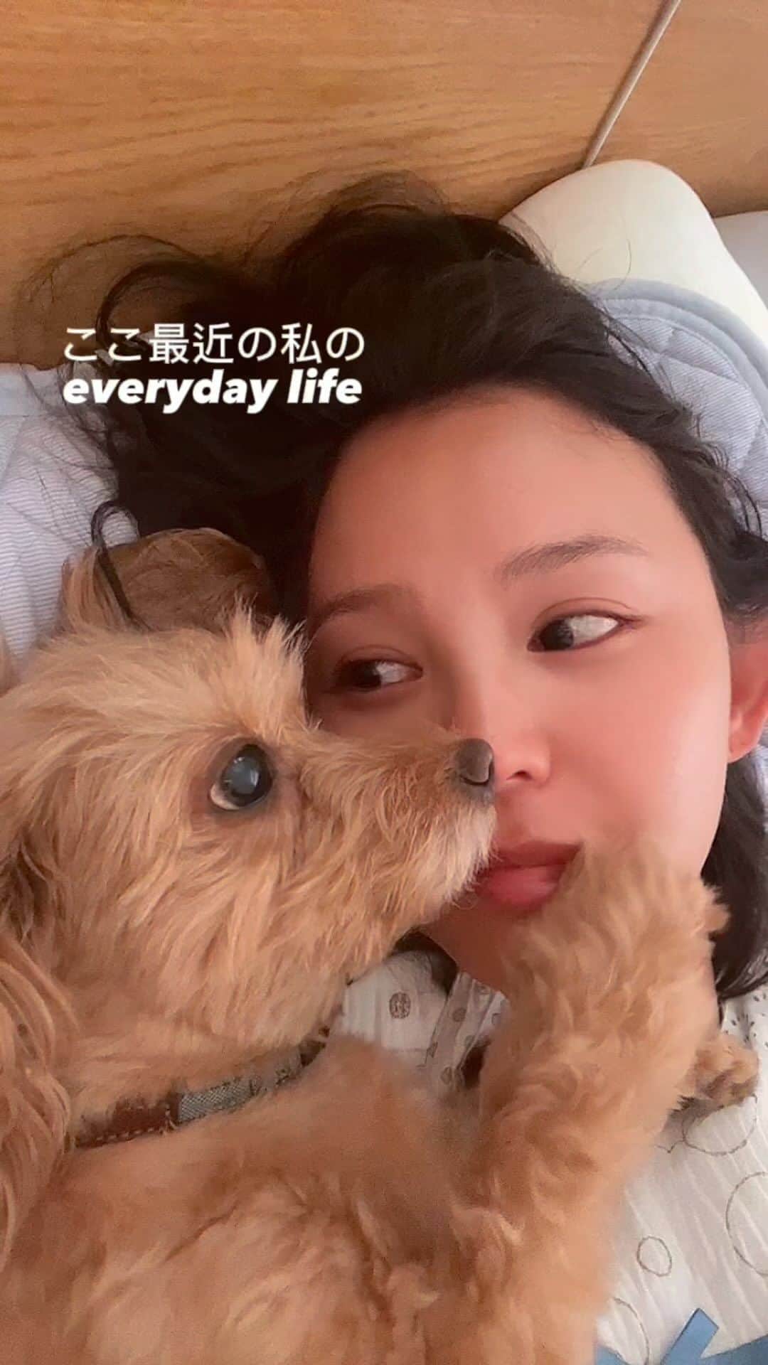 丘咲エミリのインスタグラム：「My recent everyday life movies📷💜 Please check it out if you like🫰🏾and, Could you please this post tap（put）a like also share also keep if you like !!  この動画にクレアが映っていない😂 なぜ、、たまたまw  #リール動画 #最近のわたし #everydaylifestyle #mylog  #犬がいる暮らし」