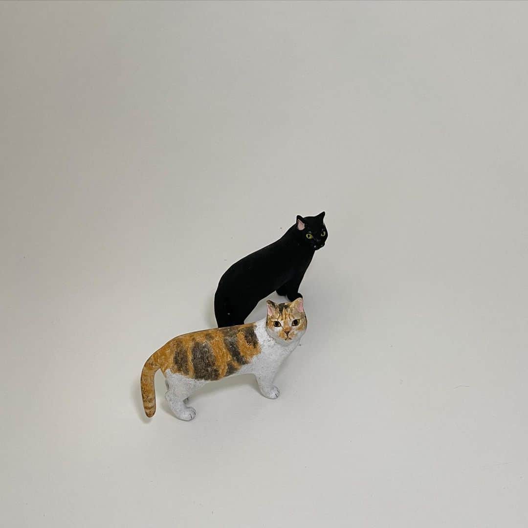 猫ラボのインスタグラム：「坂本千明さん『ぼくはいしころ』原画展（富山の巣巣さんにて）、会期後半に向けていくつか追加しました。  『ぼくはいしころ』は孤高の猫がひとりぼっちじゃなくなるさまが版画の美しい表現で描かれている絵本なのですが、原画展参加者さんのおうちの猫も『ぼくいし』ちゃんとかぶる子が多いなと思い、モデルにさせてもらってます。 こちらは清水ミケちゃん。  うちの蘭丸も元野良だったけど、素手で捕まえられるほどフレンドリーでおしゃべりな野良だったらしいので、ぼくいしちゃんからは少し遠いかもしれない。  巣巣さんは予約制で木金土のみオープンです。 お近くの方はぜひ。」