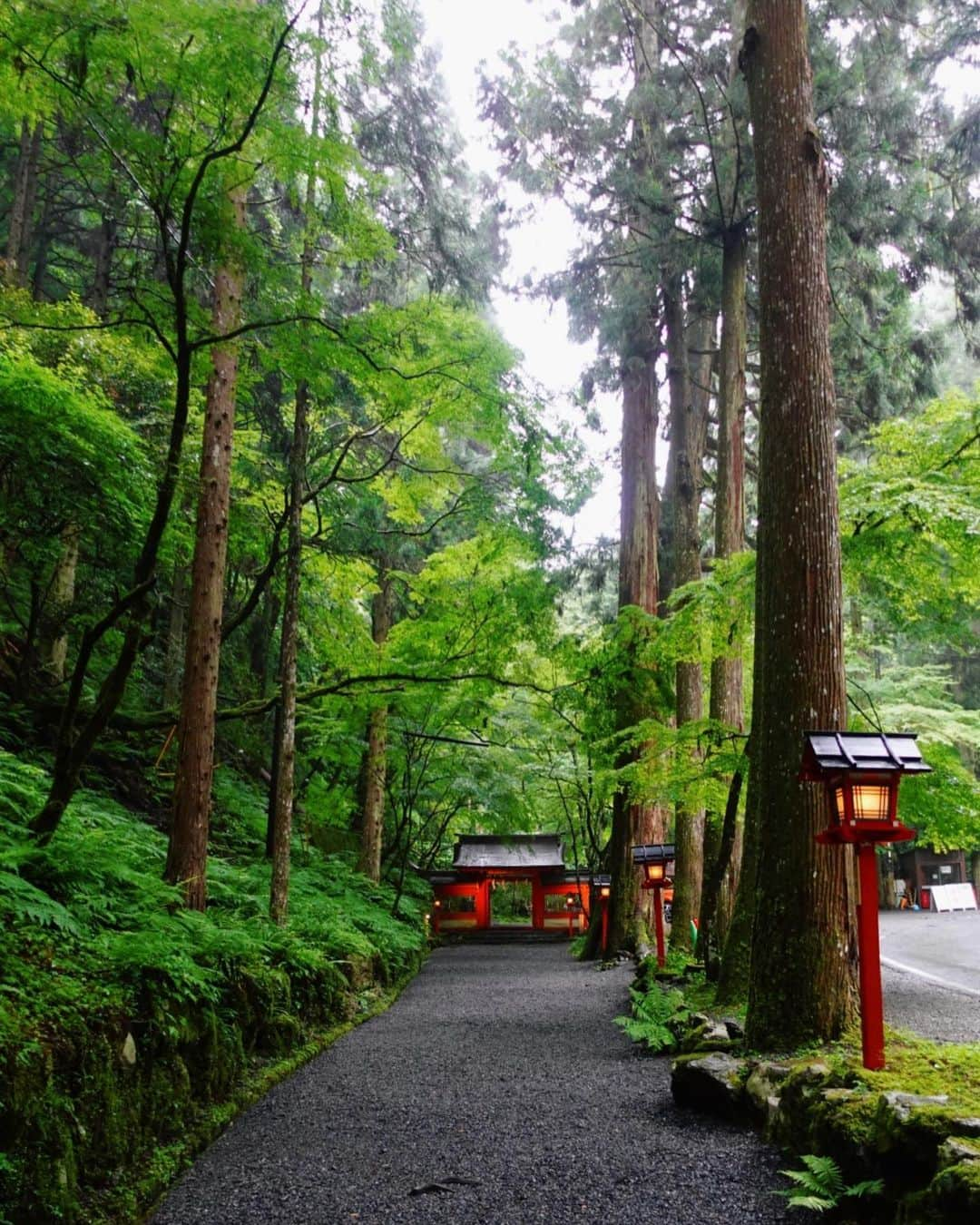 一双麻希 さんのインスタグラム写真 - (一双麻希 Instagram)「京都 #貴船神社  鞍馬寺本殿から1時間ほど山道を歩いて、貴船神社へ。 貴船神社には4,5年前初めて行って、すごく好きだと思ったけど ハイキングして楽しめるコースがあるなんて😌⛰️  やっぱり絵になるなぁ。⛩️ 貴船神社の奥宮は、(4,5枚目) 鳥居をくぐった瞬間、空気が変わるのを感じ 本当に『気』ってあるんだなぁと。。 (きっと行ったことある人はわかるはず👀)  鞍馬の入口▶︎貴船の奥宮までじっくり巡りながら 合計4時間弱歩き、かなり疲れましたが😂 でも心は癒され、パワー吸収できました。✨  #京都 #京都観光 #京都のお寺 #鞍馬寺 #鞍馬山 #貴船 #鞍馬 #京都旅行 #寺巡り #神社巡り #パワースポット #神社好き #京都旅 #旅好き女子 #旅好きな人と繋がりたい #旅好き #国内旅行 #京都散策 #自然が好き #登山初心者 #山ガール #山好き #山好きな人と繋がりたい #kyototemple #japanview #kyoto #kyotojapan #kyototrip #kyototravel」9月12日 20時58分 - isso_maki315