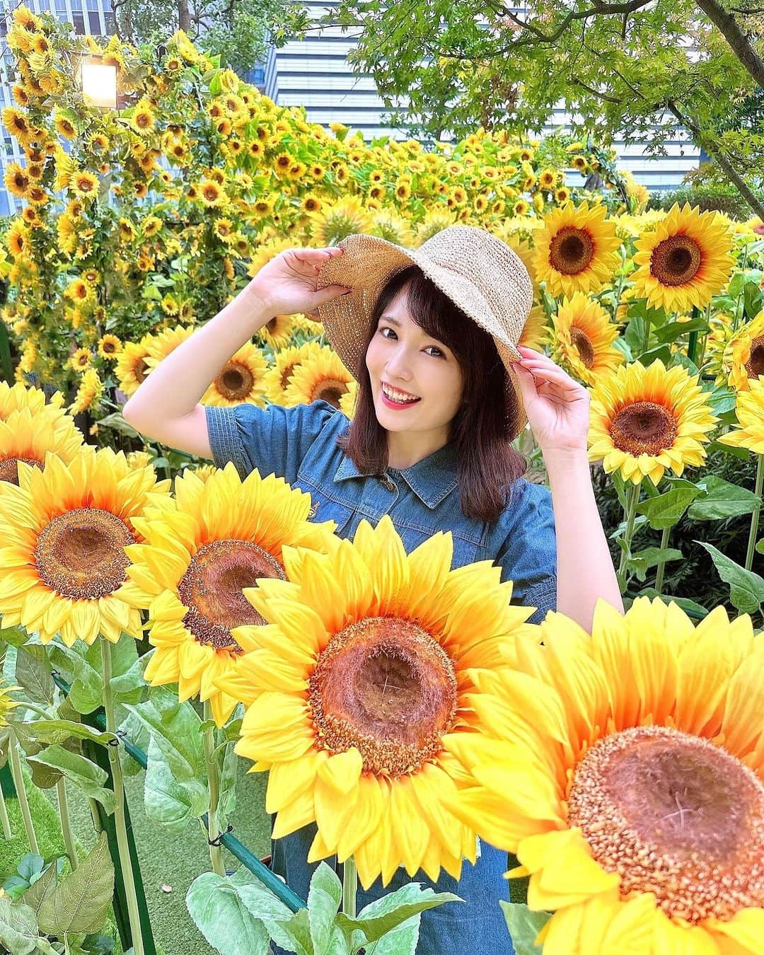 浅井麻里のインスタグラム：「🌻ひまわり畑🌻 ⁡ 昨日からお仕事で北海道へ💕✈️ ⁡ 一面に広がる牧場とか畑とか、 広大な大地を走る車の中からひまわり畑が見えて、 北海道ではまだひまわり咲いてるんだなぁって🌻 ⁡ この写真は、大名古屋ビルヂングの スカイガーデンのひまわりだけど🤣💦 ⁡ マンションやビルがまったくなくて、 ただひたすら緑の地が続いてる北海道の田園風景大好き💕 ⁡ 今回の滞在も、のどかな風景にすごく癒されてる✨☺️ ⁡ 北海道のvlogストーリーにのせてくから見てね♬ ⁡ ⁡ #ひまわり #向日葵 #ヒマワリ #大名古屋ビルヂング #大名古屋ビルヂングスカイガーデン #スカイガーデン #名古屋観光 #愛知観光 #ひまわり畑 #はなまっぷ #nagoyatrip #向日葵畑 #ヒマワリ畑 #ポートレート #映えスポット #フォトスポット #名古屋駅 #名古屋 #good_portraits_world #Lovers_Nippon_Portrait #as_archive #jp_mood #coregraphy #art_of_japan_」