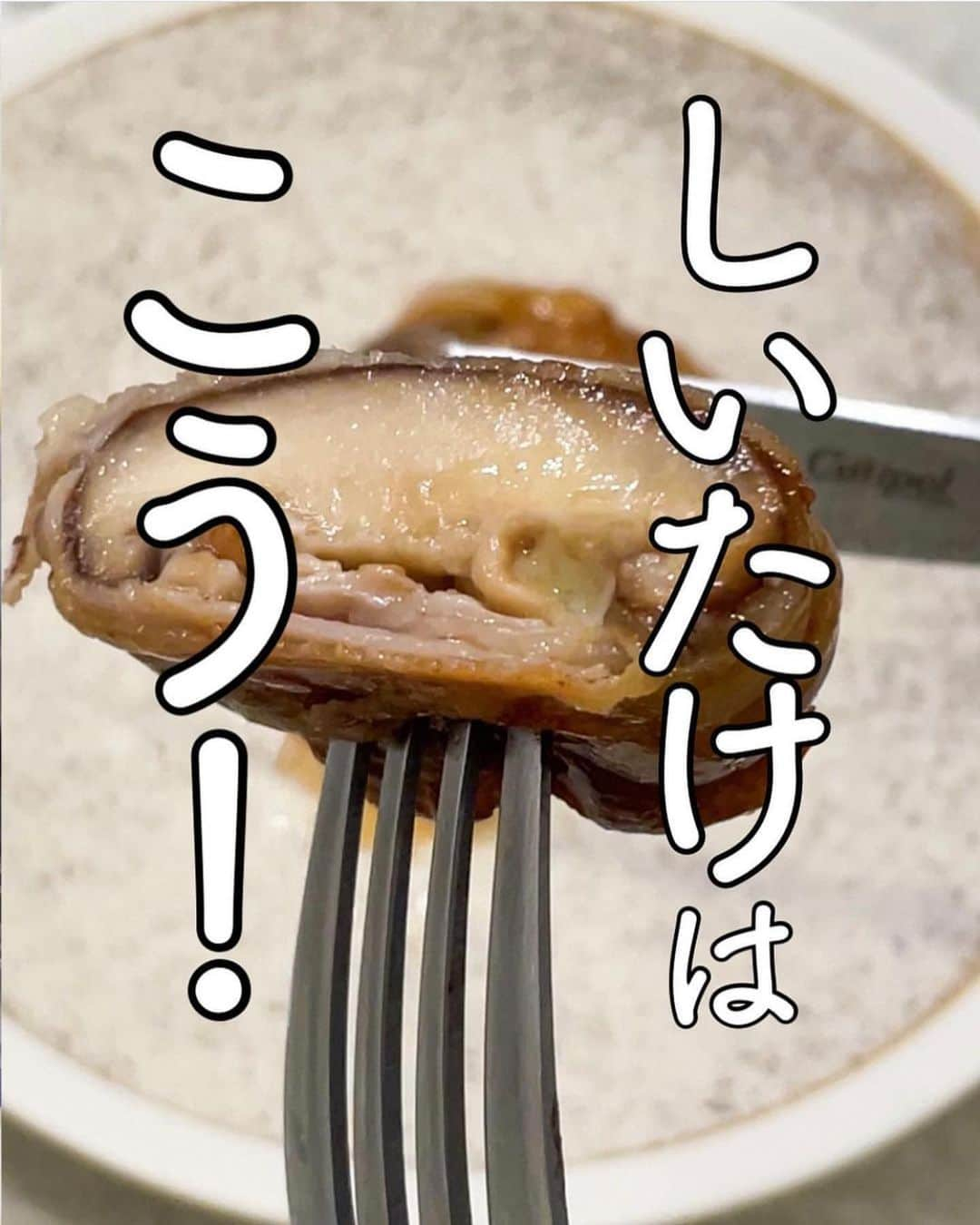 伊賀るり子のインスタグラム：「低糖質レシピは @ruriscooking  【低糖質！旨味爆発！肉巻きしいたけ】 今日は私が一番美味しいと思っている椎茸の食べ方をご紹介！旨味豊富な軸の部分まで余すことなく使い、椎茸を丸ごと美味しく食べられるレシピとなっています😆  味付けは椎茸と相性の良いめんつゆ×ポン酢でさっぱりと仕上げました。  9月になり食卓も秋気分。肉巻き椎茸で一足早い秋の味覚を楽しんでみては如何でしょうか😆  材料 しいたけ　5本 豚バラ薄切り　10枚 とろけるチーズ1枚 めんつゆ　大さじ1 ポン酢　大さじ1/2 →2人分の場合は倍量で作ってね！  1.椎茸は石づきを切り落とし、軸をみじん切りにする 2.豚バラ肉2枚を並べ、椎茸・とろけるチーズ・椎茸の軸の順にのせて豚肉で巻く 3.フライパンに油をひき、巻き終わりを下にして焼き色がつくまで焼く 4.余分な油をキッチンペーパーで拭き取り、めんつゆ・ポン酢を加えて絡ませながら両面焼いて完成！  1日の糖質量目安✨ (1ヶ月のマイナス目標体重別) 3〜5kg→60g以下 2~3kg→120g以下 1~2kg→160g以下 白米は茶わん1杯で糖質55g  ＼食べて痩せる／ 週末外食しても158cm44kgキープ！ 料理研究家の低糖質おうちごはんレシピ @ruriscooking   #しいたけ #椎茸 #豚バラレシピ #豚肉レシピ #肉巻き #しいたけレシピ #椎茸レシピ #ダイエット #ダイエットレシピ#糖質制限ダイエット #糖質制限レシピ #低糖質レシピ #簡単レシピ #節約レシピ #時短レシピ #主菜レシピ #おつまみレシピ」