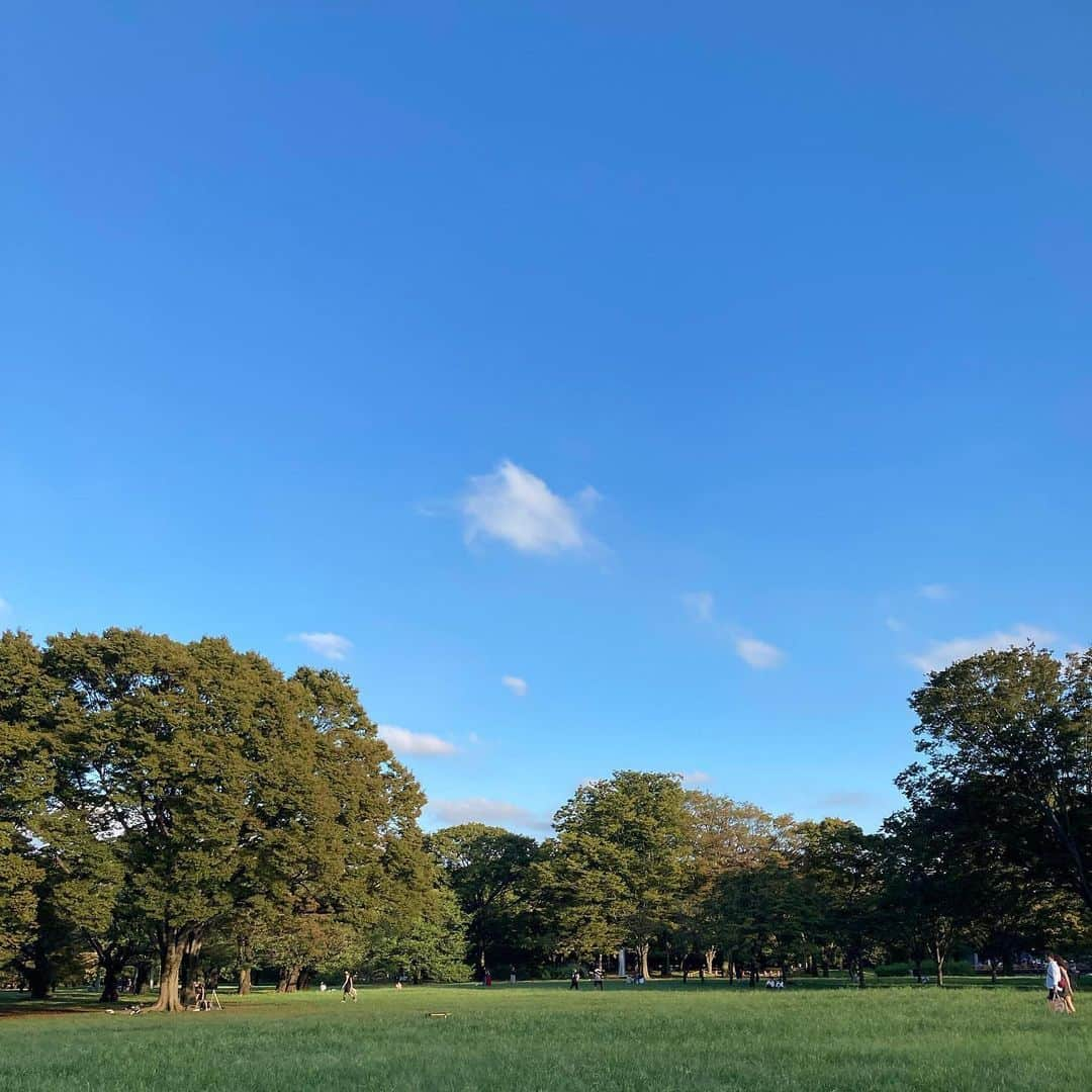 加藤小夏さんのインスタグラム写真 - (加藤小夏Instagram)「夏の終わりを仄かに感じながら日々を過ごしております。最近は2日連続で @natumixxx  に会えたり。その日の会話の中で出てきた「綺麗な丸の中に好きと嫌いがあって、その形~」についての話(省略しすぎて何も伝わらないだろうけど許して)をずっと反芻していたり。公園でワイワイ遊んだり。美味しいご飯を食べたり。美味しいご飯を食べたり。美味しいご飯を食べたり。」9月12日 21時28分 - __cnp_