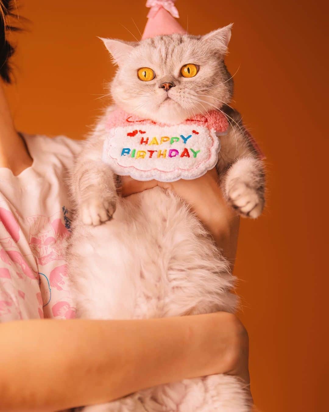 YingTzeさんのインスタグラム写真 - (YingTzeInstagram)「My cats never asked for this but … 🤣  Happy Birthday to my Baby Lancelot, Venom , Princess and Hermes 🎁 ✨ They turned 5 this year ! ✨  📸 @prestonles.ig  Studio @peoplegraphy」9月12日 21時26分 - yingtze