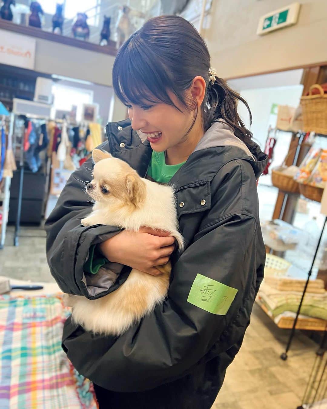 中川紅葉さんのインスタグラム写真 - (中川紅葉Instagram)「テレビ朝日「#シッコウ！ 犬と私と執行官」  最終回まで ありがとうございました🐶  刺激的であたたかい現場で、 とっても贅沢な経験をさせていただきました☺︎  是非また何度でも！ご覧ください🐕 @shikkou_tvasahi」9月12日 21時54分 - kureha_nakagawa