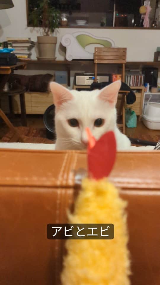 岡田屋鉄蔵のインスタグラム