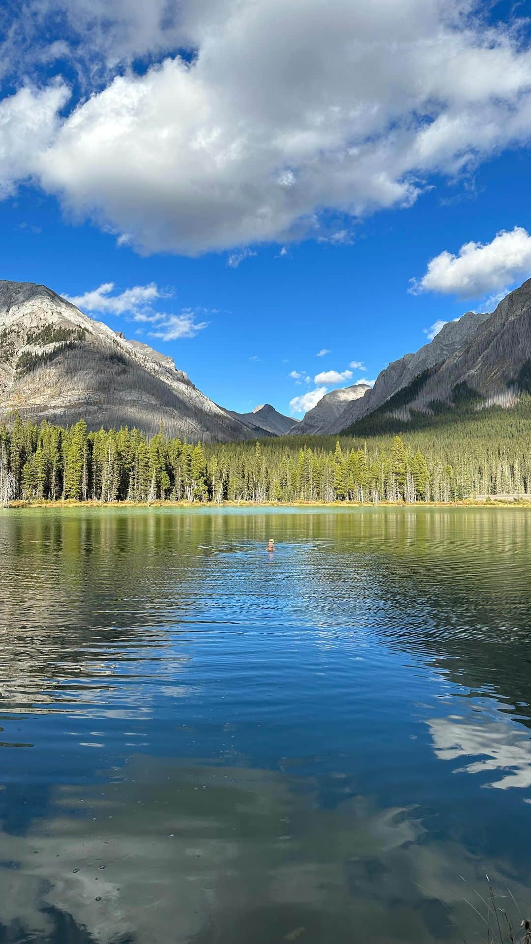 Zanna Van Dijkのインスタグラム：「I can’t quite believe we saw this on our first day in the Canadian back-country, a large and lone male moose wandering through the valley 🫎 It is such a rare occurrence and something we are SO lucky to have experienced! I am forever grateful 🫶🏼  So far we have ticked Elk, big horn sheep and moose off the wildlife bucket list. I’m so excited for what else we might spot! Come follow along on stories 🥰♥️ #canada #thecanadianrockies #wildmoose #kananaskis #kananaskiscountry @mountengadine #mountengadinelodge」