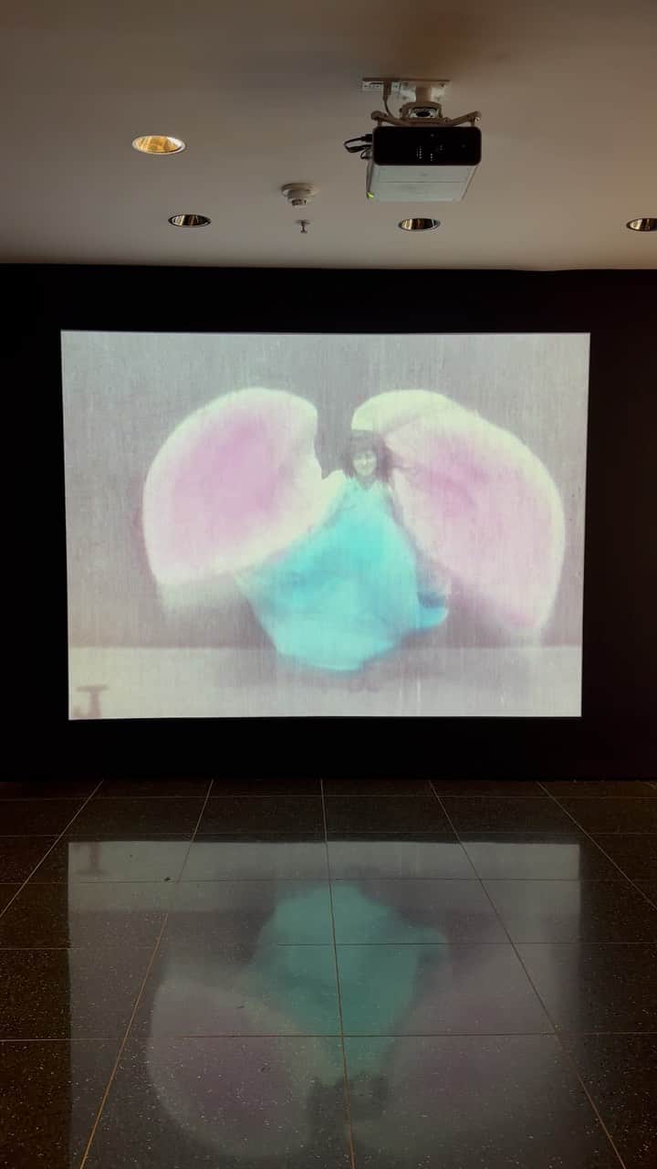 Juxtapoz Magazineのインスタグラム：「We took a stop off at @themuseumofmodernart for the exhibition, “Before Technicolor Early Color on Film.”   “Annabelle Serpentine Dance” is a short silent American film produced and distributed by Edison Manufacturing Company in 1895. It is one of several released by the studio in the late 19th century. Each short film depicts the popular serpentine dance performed by Annabelle Moore. Many of the prints were distributed in color, which was hand-tinted.  #MoMA 📷 @epricco」