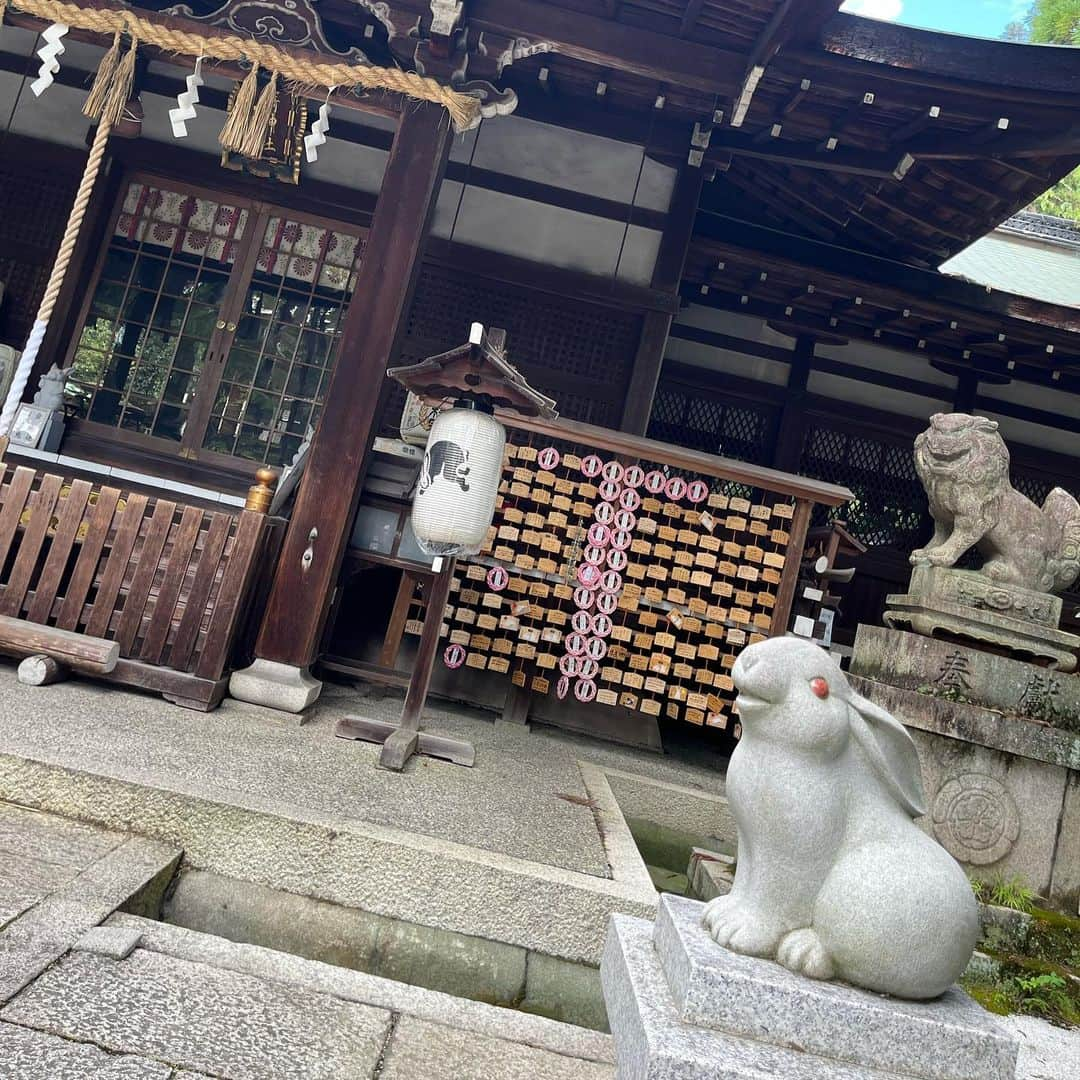 関根うさぎさんのインスタグラム写真 - (関根うさぎInstagram)「🐇❤︎⛩️」9月12日 22時17分 - u_chan.usagirabbit