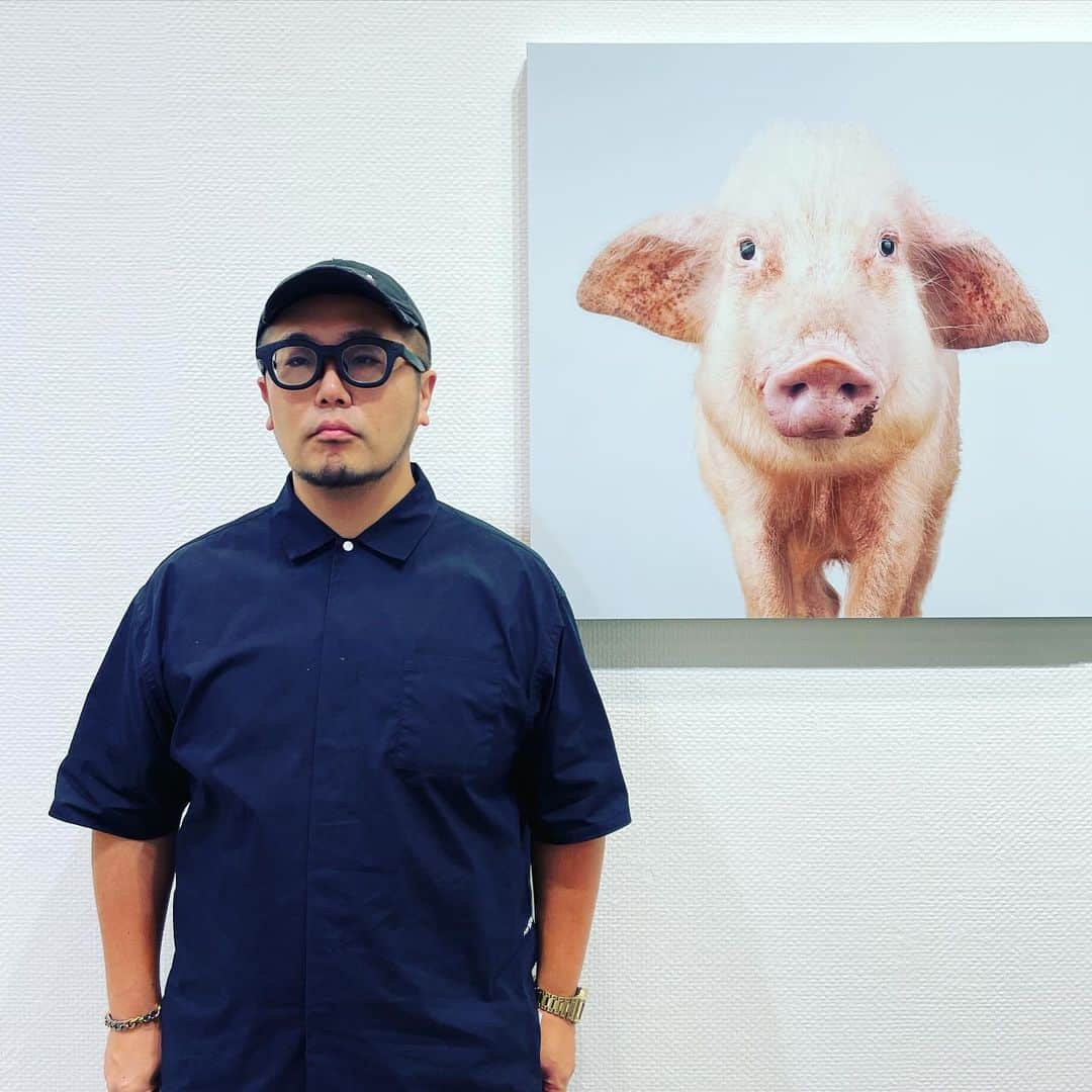 三浦崇宏さんのインスタグラム写真 - (三浦崇宏Instagram)「#pig #photography  #art #design  #脳よだれ展  #instagood  #人の世といえば食う方と食われる方は同じ一本の線で繋がってると聞いて」9月12日 13時48分 - takahiro3ura