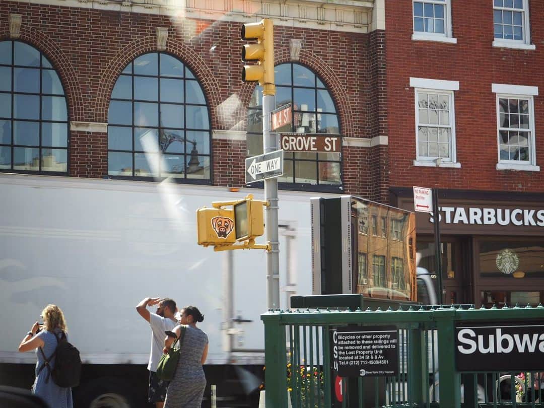 Zooey Miyoshiのインスタグラム：「NYC from Zooey’s POV #zooeyinnyc #photographedbyzooey」