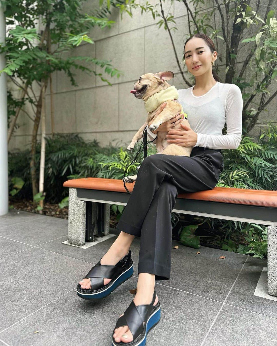 桐山マキのインスタグラム：「. . . 🐖♡  愛犬のお散歩🚶‍♀️🐄🐕‍🦺🐖♡♡♡  👕　@onit_tokyo  👖  @elura_official   #japan  #fashion #love #dogs #Elura #black #pants #🖤」