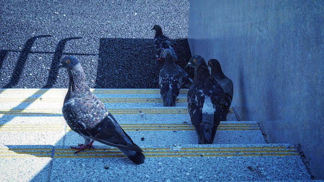 草野航大のインスタグラム