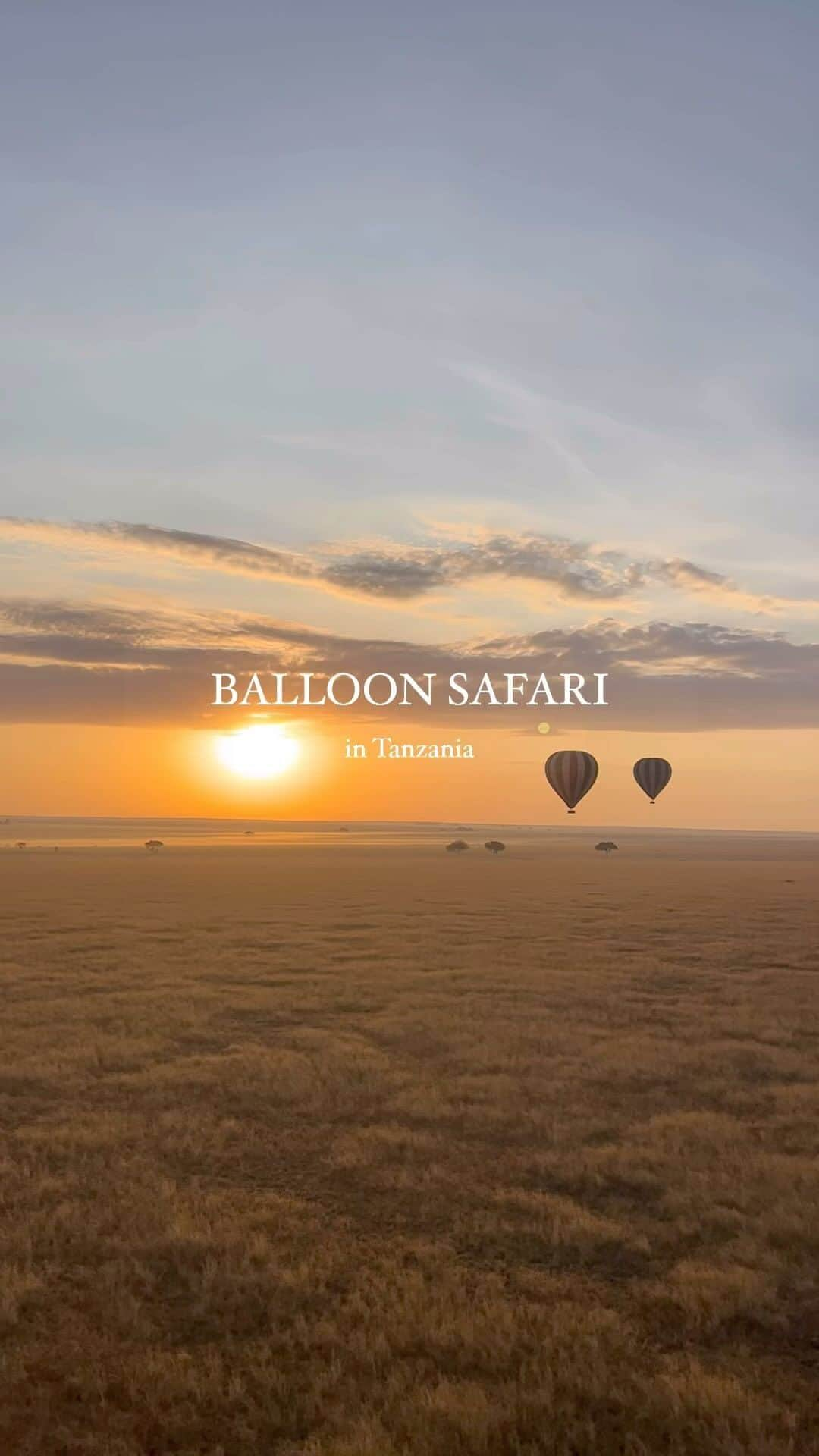 田中里奈のインスタグラム：「BALLOON SAFARI  inTanzania  気球から見た雄大なセレンゲティの朝。 朝日に照らされるサバンナは美しくて言葉にならなかった…！  うまく言えないけど、日本で私がいつもの生活を送ってる時、地球のどこかでこんな瞬間が存在するって身をもって体感できたことが、これからの自分にとって心のお守りになる気がするな。そんなアフリカ旅です。  #たなか旅メモ #タンザニア #サファリ #Tanzania #Safari #セレンゲティ #balloonsafari #気球 #serengeti #serengetinationalpark #アフリカ旅行 #タンザニア旅行 #りなとなおこのアフリカ旅行」