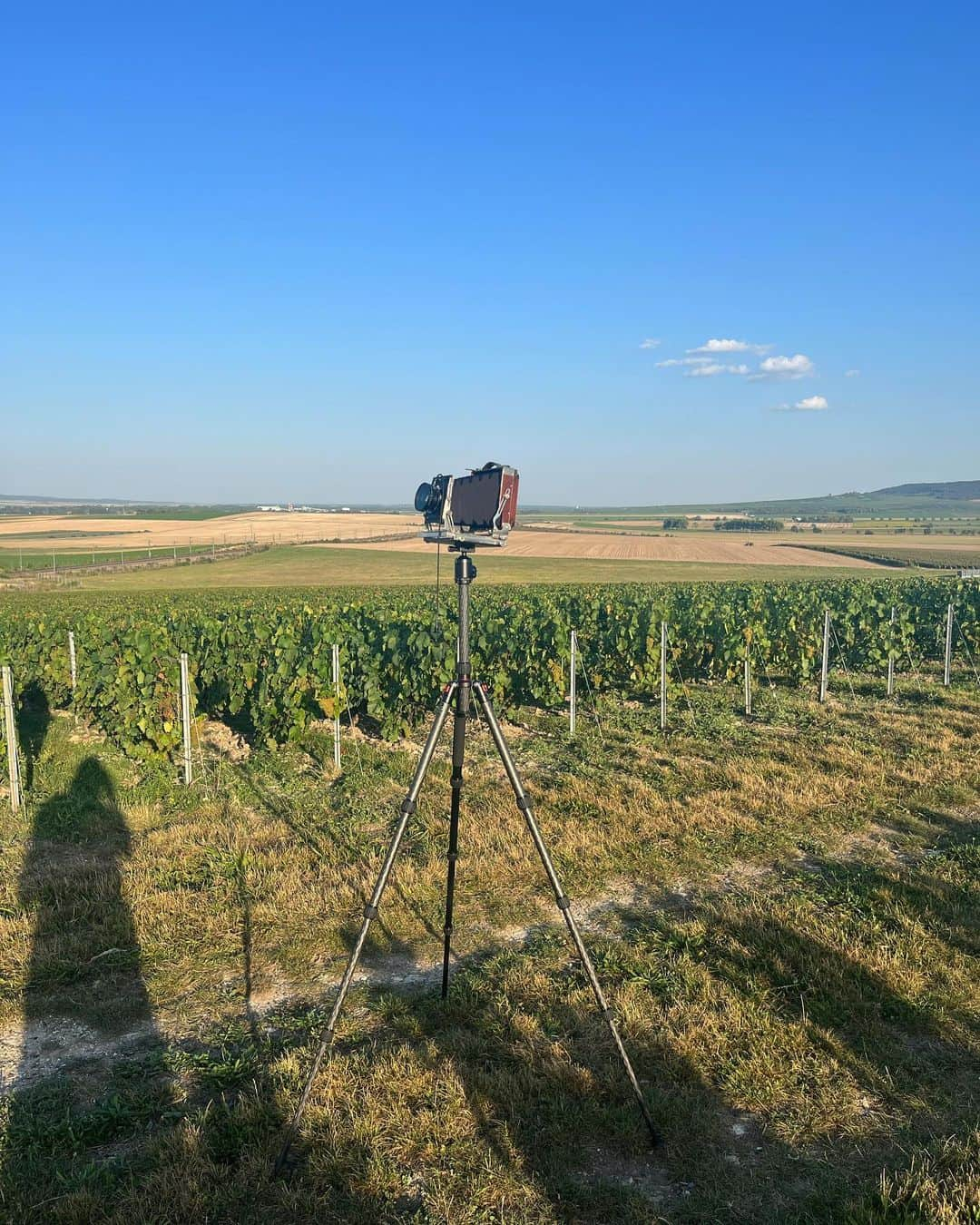 柏田テツヲのインスタグラム：「来年のKYOTOGRAPHIE @kyotographie で発表する作品のため、フランスのランスにあるMaison Ruinart @ruinart のレジデンスを訪れて滞在制作をしています。 街を出ると辺り一面ぶどう畑で、あちこちで収穫が始まりました。 年々この温暖化で収穫の時期が早まっているそうです。その他にもたくさんの変化を教えてもらいました。 この9月の数日は日本の夏と変わらない暑さで僕自身もびっくりでした。 昨晩はRuinartの社長と2人でご飯をする機会があり写真の話、アートの話、ぶどうの話、気候変動や環境問題、未来について沢山話をしました。沢山の気付きを頂き、そして何より会社としての取り組みやご本人個人として考え方や生き方に共感しました。 この素晴らしい機会を頂き、一緒に作品を作りが出来ること、一緒に共有出来るメッセージを作品通して発表出来ることを楽しみにしつつ制作を頑張ります。 @ruinart @kyotographie 全てをバックアップしてくれてここに来れたことに感謝を込めて。  I am visiting the residence of Maison Ruinart @ruinart in Reims, France to create a piece of work that I will present at next year's KYOTOGRAPHIE @kyotographie. As we left the city, there were vineyards all around us, and harvesting had begun in many places. It seems that the harvest season is coming earlier each year due to global warming. I learned many other changes as well. These few days in September were as hot as the summer in Japan, and even I was surprised. Last night, I had the opportunity to have dinner with the president of Ruinart, and we talked a lot about photography, art, grapes, climate change, environmental issues, and the future. I learned a lot from him, and most importantly, I sympathized with his company's efforts and his personal way of thinking and living. I will do my best to create this work, looking forward to being able to create this work together and expressing the message that we can share together through this work. @ruinart @kyotographie Thank you for supporting everything up and being here.」