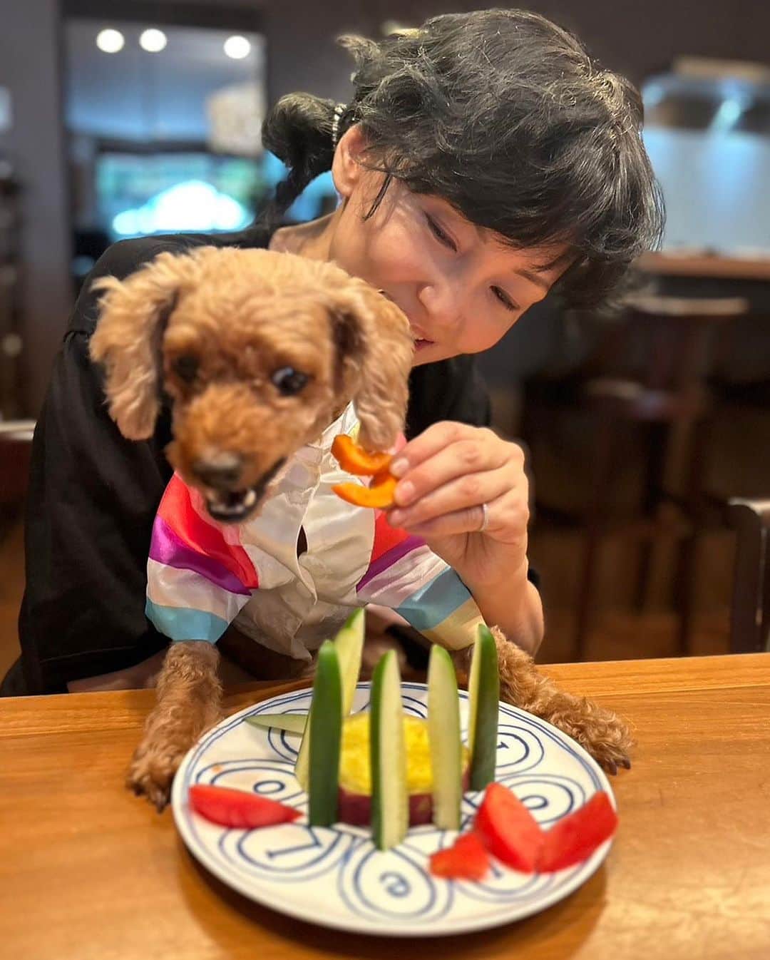 南果歩さんのインスタグラム写真 - (南果歩Instagram)「シャンティーが8歳になりました❤️❤️❤️ 本当に私の人生を救ってくれた相棒です😊😊😊 ロケに出る前に、野菜ケーキを作って、韓国で頂いたチマチョゴリを着てお祝いしました🌈🌈🌈 最高のお誕生日🎂 シャンティーいつも私を笑顔にしてくれてありがとう❤️❤️❤️ あなたの野性と本能、そして愛くるしくて可愛いところ、人の気持ちにそっと寄り添う優しさ、数え上げたらキリがないくらい好きなところがたくさんある‼️ ヤンチャなところはご愛嬌❤️ シャンティー😊 私のところに来てくれてありがとう❤️❤️❤️ シャンティーの両親と彼らを飼っている友人ミョンミにも感謝感謝です😊😊😊 私に授けてくれて本当にありがとう🌈🌈🌈  #トイプードル #犬 #犬のいる暮らし #トイプードル親子 #犬好きな人と繋がりたい  #犬の誕生日ケーキ #南果歩 #kahominami #미나미카호 #japaneseactor」9月12日 15時04分 - kaho_minami