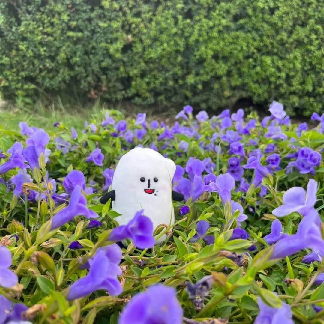 コメ助のインスタグラム：「.  ぼくのまったり時間(๑•ᴗ•๑)🌸 お花に囲まれて癒されるひとときだヨネ💐  みな産、いつもお疲れ様だコメ！🍵☺️  疲れも溜まる時期だから 休憩時間はしっかりとってくださ稲🫶🏻✨  #大切 なコメ友産🍙✨ #癒し #ヒーリング #花 #お花畑 #ピクニック  #海 #散歩 #ウォーキング #健康  #ゆるキャラ #コメ助」