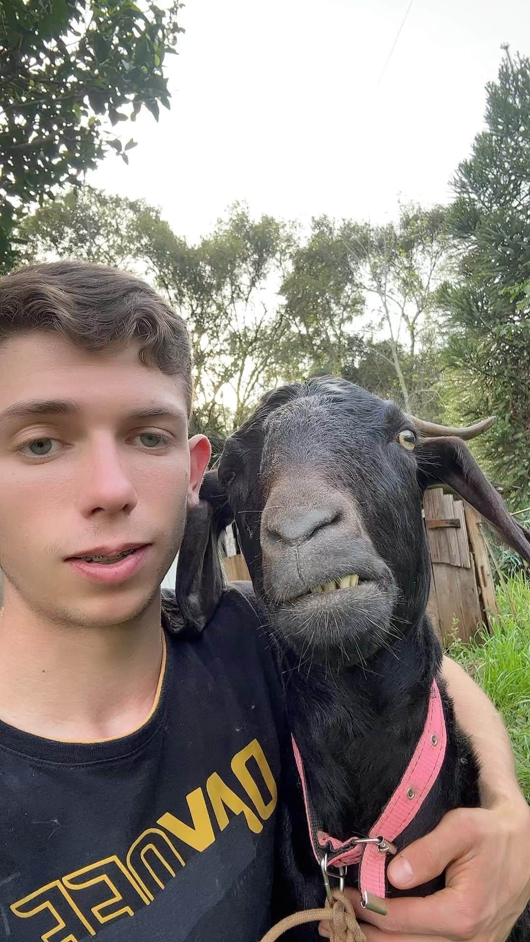 Earth Picsのインスタグラム：「@danieljubnelson singing to his goat 🐐 sounds beautiful 🤩」