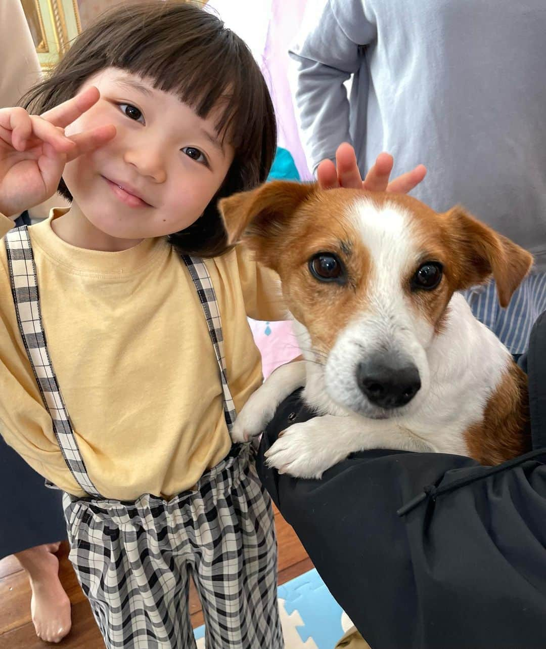 シッコウ!!〜犬と私と執行官〜さんのインスタグラム写真 - (シッコウ!!〜犬と私と執行官〜Instagram)「🐕 碧唯ちゃんとショコラちゃん🐶🐾 ⁡ 今夜挑むのは、最も難しいと言われる 事件“子どもの引き渡し”一 ⁡ ｢碧唯ちゃんを執行｣し、 母親の元へ連れ戻すことはできるのか…😭？ ⁡ お見逃しなく！ ⁡ 第8話見逃し配信中📺✨ ⁡ #️⃣シッコウ!! #最終回 #今夜9時 #小野井奈々」9月12日 16時53分 - shikkou_tvasahi