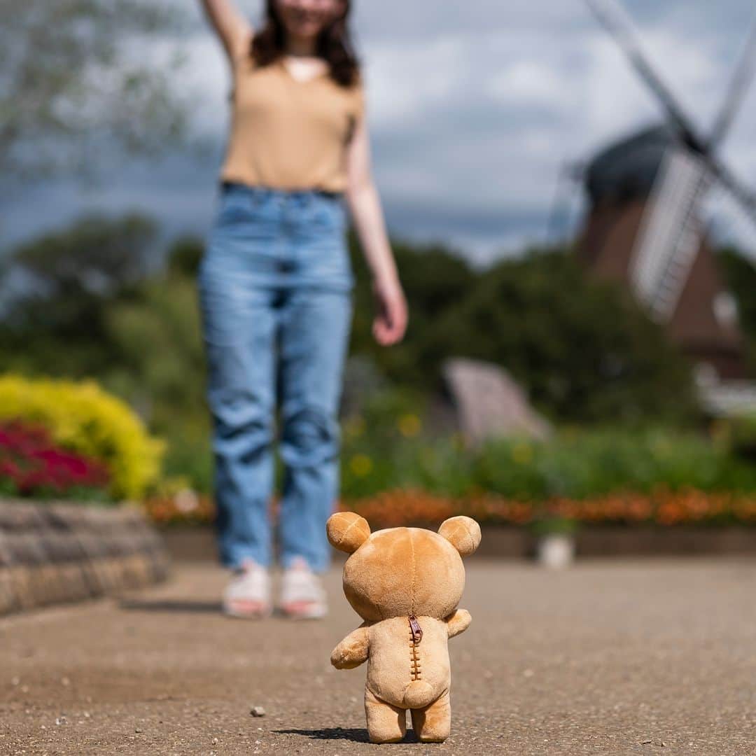 のインスタグラム：「【リラックマがいる暮らし＃74】 リラックマがそばにいてくれる毎日がとても楽しくてごゆるりできるリラックス時間。  感謝の気持ちを伝えるのって、なんだかちょっと照れくさいから… 遠くから……  リラックマ〜！いつもありがとう。  #リラックマがいる暮らし #リラックマ #夏 #秋 #ごゆるり #ありがとう #感謝 #リラックス #時間 #rilakkuma #summer #autumn #拉拉熊 #🐻」