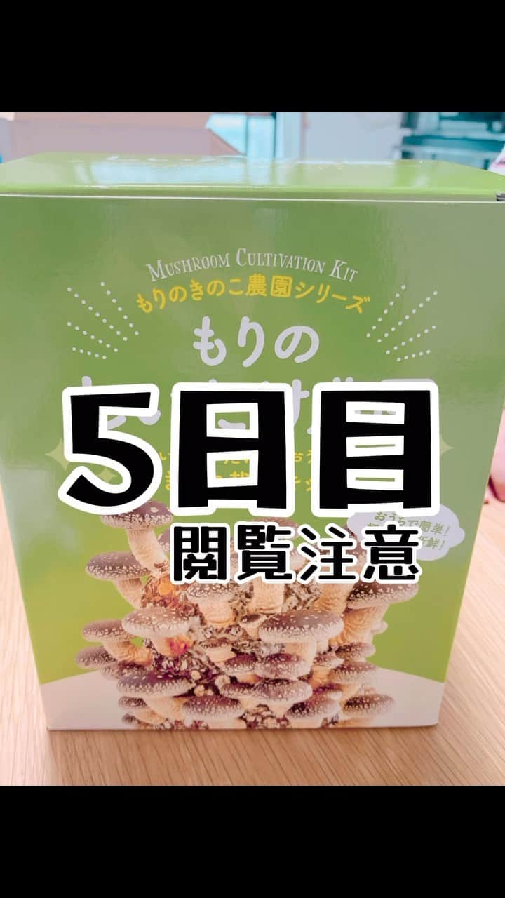 鈴木りんだのインスタグラム：「５日目です。#椎茸栽培 #嫌いな物を克服しよう計画」