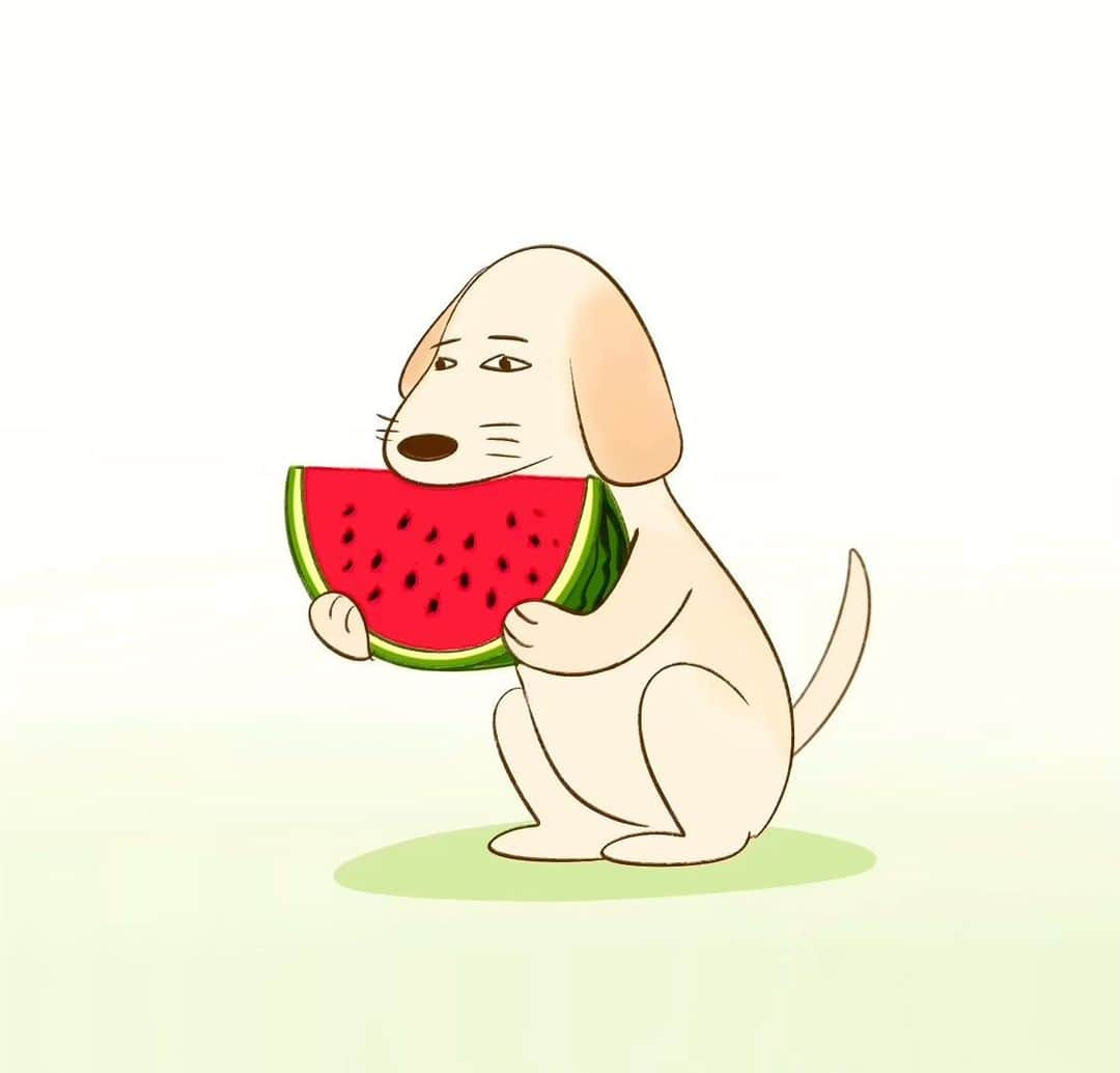 keigoのインスタグラム：「🍉 #illustration」