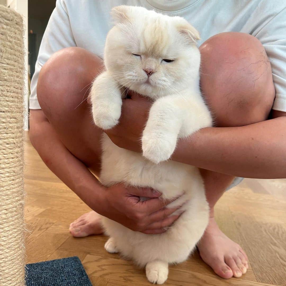 SoonMooのインスタグラム：「말랑따끈 가래떡 아부지 출장 갔다 5일만에 상봉  #순무 #SoonMoo」