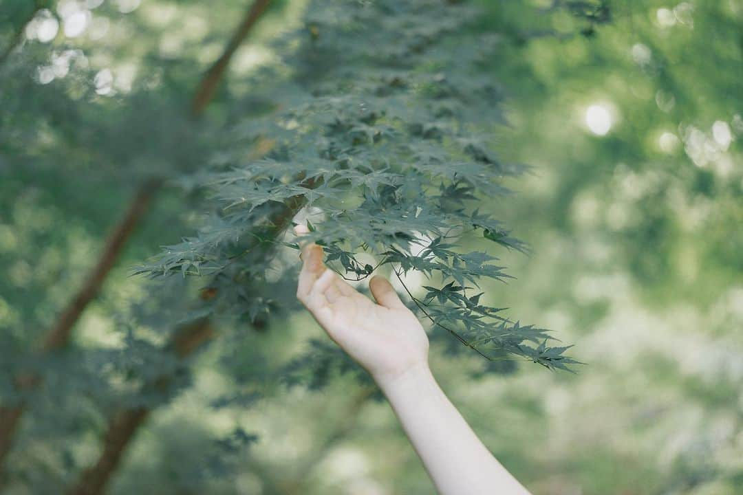 花澤杏華さんのインスタグラム写真 - (花澤杏華Instagram)「翠」9月12日 17時34分 - aprico7_