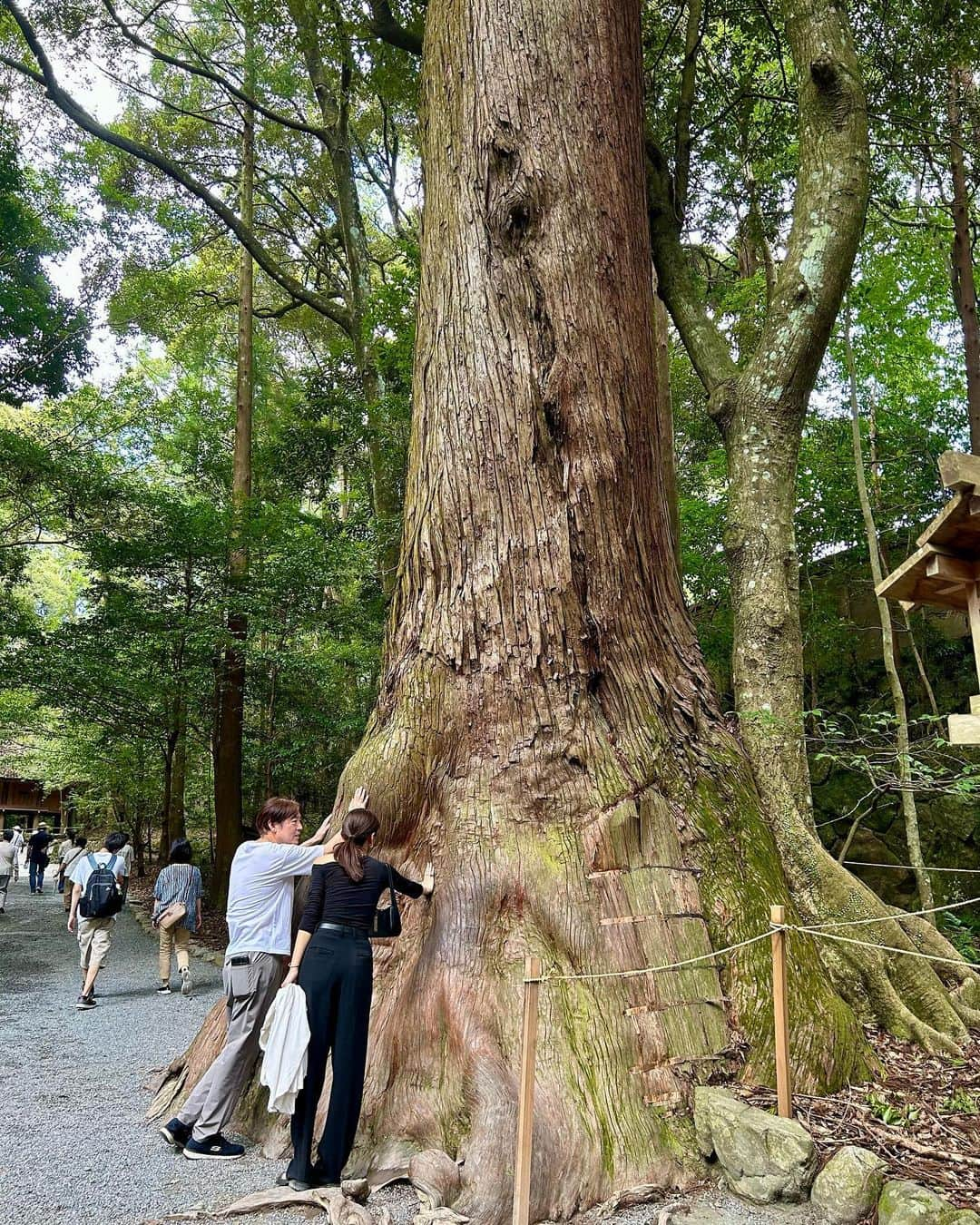 畑井咲耶さんのインスタグラム写真 - (畑井咲耶Instagram)「お仕事で三重県へ行ったタイミングで ずっと行きたかった伊勢神宮へ🤍  関西出身やのに行ったことなかったから嬉しすぎたけど 暑すぎて倒れるかと思った（最高気温37℃）  実家にも帰れて久しぶりに甥っ子にも会えて幸だった日🫶🏻」9月12日 18時00分 - saya_hatai