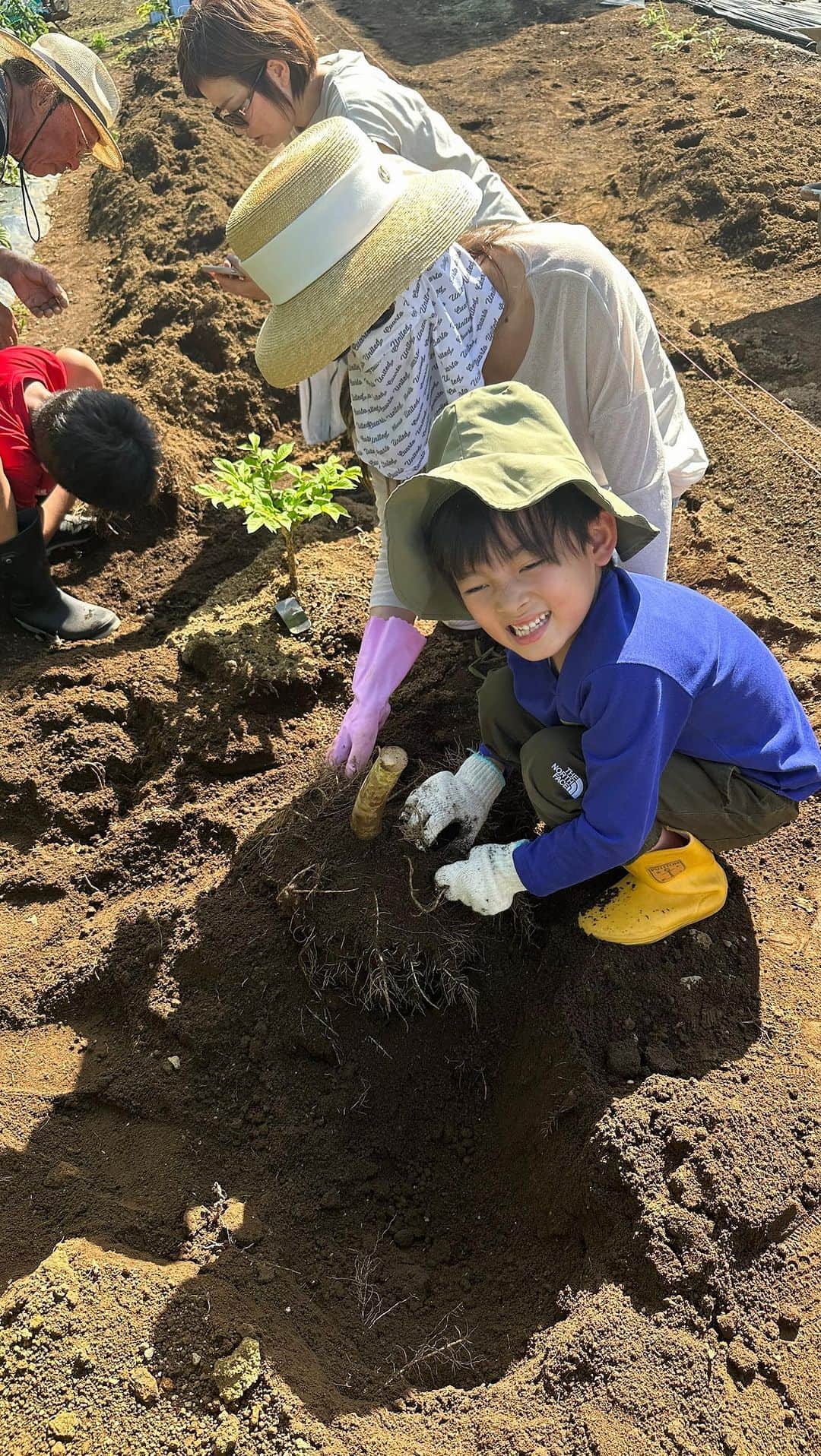 河島未怜のインスタグラム：「初めての #こんにゃくづくり   #蒟蒻芋 #蒟蒻芋からの手作り蒟蒻は美味しすぎる」