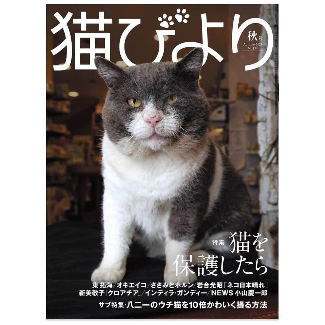 木谷有里さんのインスタグラム写真 - (木谷有里Instagram)「『猫びより』秋号発売中🐈 マンハッタナーズ2023秋の新作ページに載っています！是非ご覧ください✨  @nekobiyori.jp @manhattaners_online   #猫びより　#マンハッタナーズ #manhattaners」9月12日 18時38分 - kitani_yuri