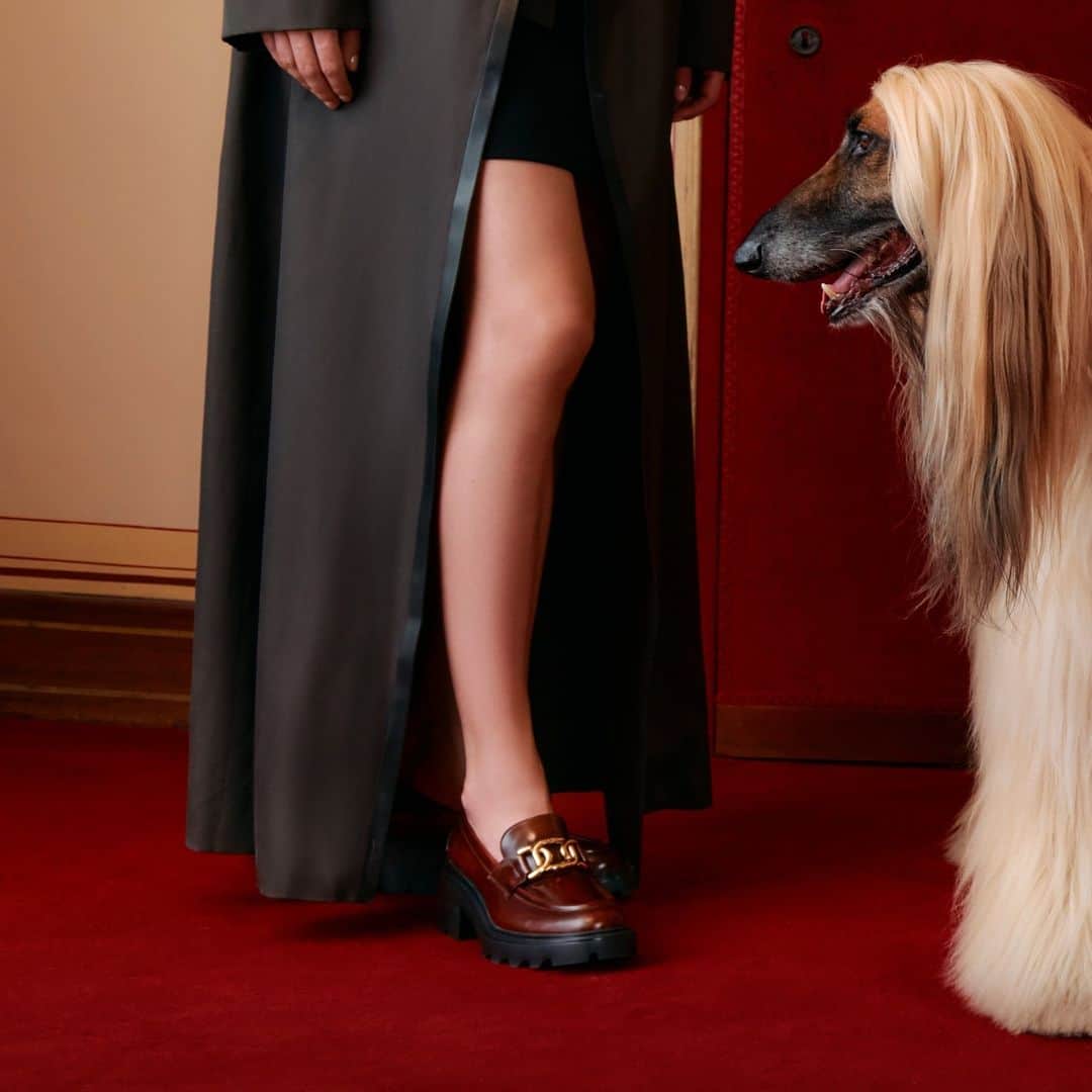 トッズのインスタグラム：「The clean-cut lines of the Kate loafers were conceived to make each of your steps bolder.  #Tods #TodsFW23」