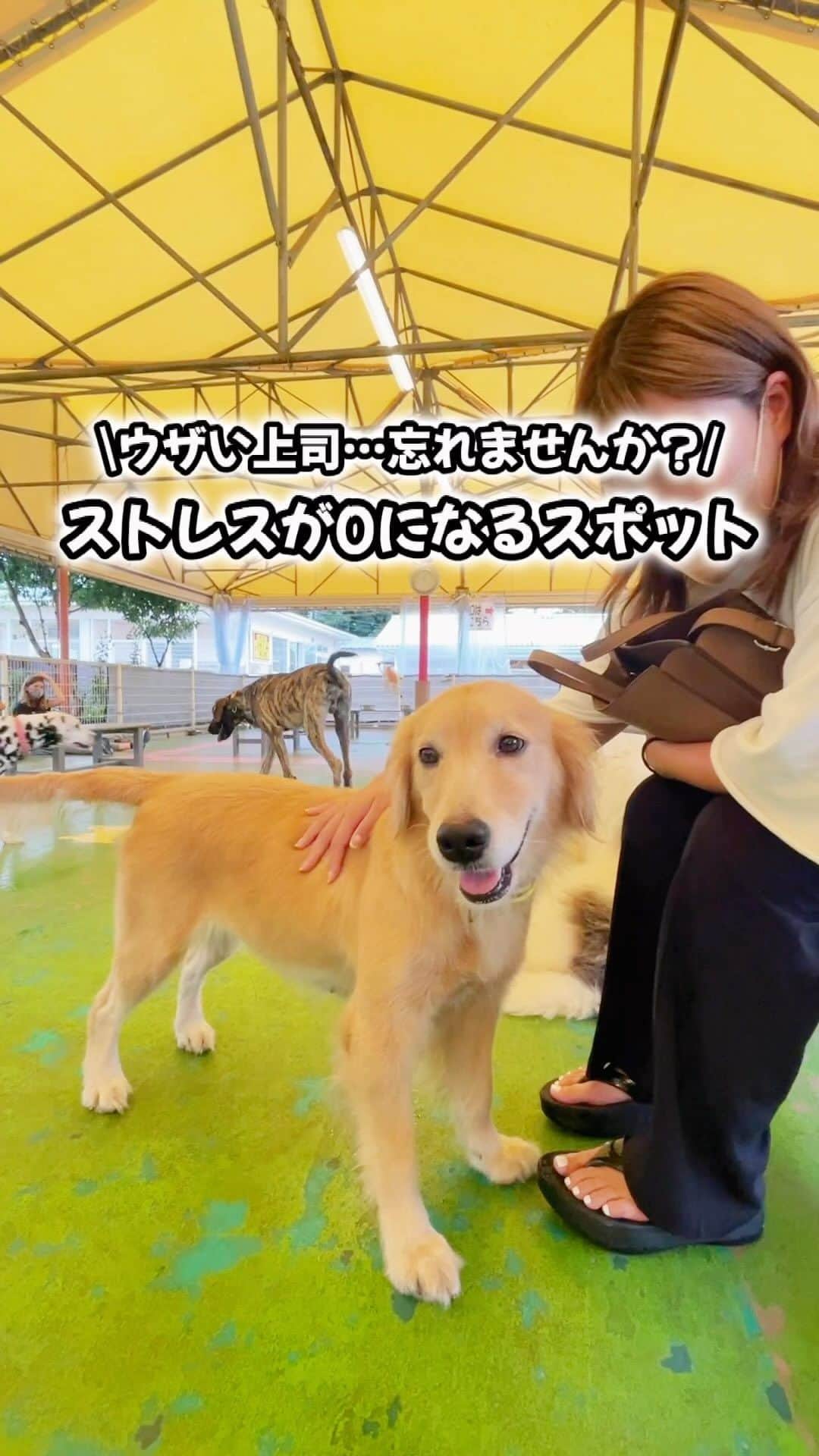 りょうまい夫婦のグルメインスタ