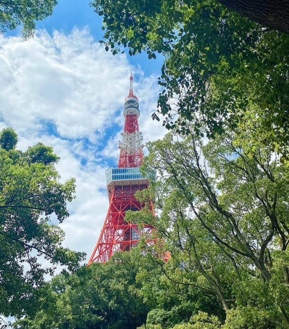 東京タワーさんのインスタグラム写真 - (東京タワーInstagram)「. 9月に入り、少しづつ 暑さもやわらいできましたね。  東京タワー周辺の芝公園には もみじ谷や芝生広場、 色とりどりの花壇や古墳などもあり、 「ぶら散歩」にはもってこいです♪  木々の隙間から 顔を覗かせる東京タワーも 気持ちが良さそうですね😊  本日は、Your Tokyo Tower🗼から @naka_zato3 さんのお写真をご紹介！  素敵なお写真をありがとうございました😊  --------------------------------  【 お知らせ 】  ■ Your Tokyo Tower 🗼  # your_tokyotowerで あなたの東京タワーをリポスト！  @tokyotower_official の タグ付けをしてくれると見つけやすいよ！  皆様からの投稿 どしどしお待ちしております！  ■ 公式LINE  東京タワー公式LINEでは 東京タワーのイベント情報を お届けしています！  詳細はプロフィールにあるリンクから↓ @tokyotower_official  --------------------------------  #東京タワー #東京タワー🗼  #tokyotower #tokyotower🗼  #散歩 #青空」9月12日 19時54分 - tokyotower_official