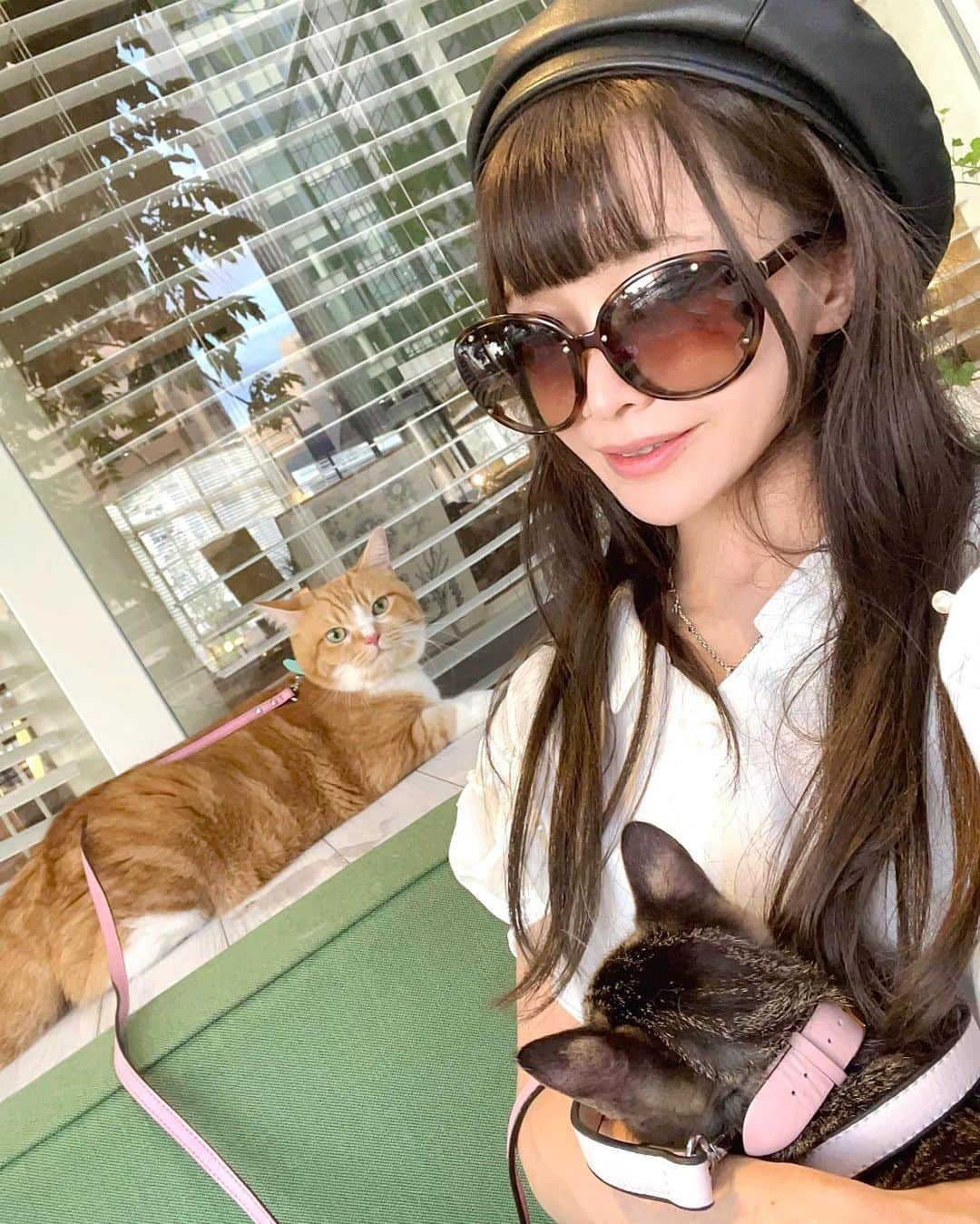 紗々木りんのインスタグラム：「🐈🐈‍⬛  少し暑さが落ち着いてきたので ひさびさにお猫様たちとおさんぽ🩵  ドンキでJulianの首輪買ったら 暴れてソッコーで取れちゃって、 とりあえずりんの腕時計を首輪にしたよ😹  Julianは初めてのおさんぽ🐈‍⬛🍼 野良出身だから楽しんでくれるかな って思ったら、お外怖いみたい🥹 完全に家ネコになっちゃった🩵  ジュリたんが怖がるから しばらくはおさんぽしないかもなぁ  ってか ２匹いっしょに連れてくのは めちゃくちゃ大変だった(ᐡ o̴̶̷̥᷄  ̫ o̴̶̷̥᷅ ᐡ)  ×××  #cat #catsofinstagram #catstagram  #catlife #catlover #cats_of_instagram  #ねこ #ねこすたぐらむ #ねこのいる生活  #ねこ部 #猫 #猫好き #猫好きさんと繋がりたい  #ねこさんぽ #猫と散歩」