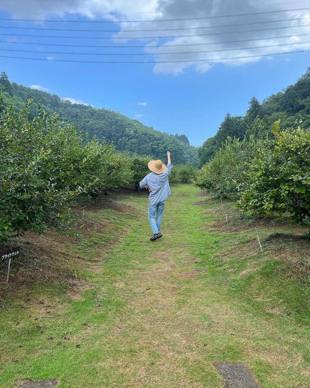 岩田絵莉佳さんのインスタグラム写真 - (岩田絵莉佳Instagram)「🥜×🫐  人生発のブルーベリー狩り！ 麦わら帽子貸し出しにテンション上がった👒笑  道の駅にピーナッツいたからお隣失礼しました🫣」9月12日 20時04分 - 15erika11