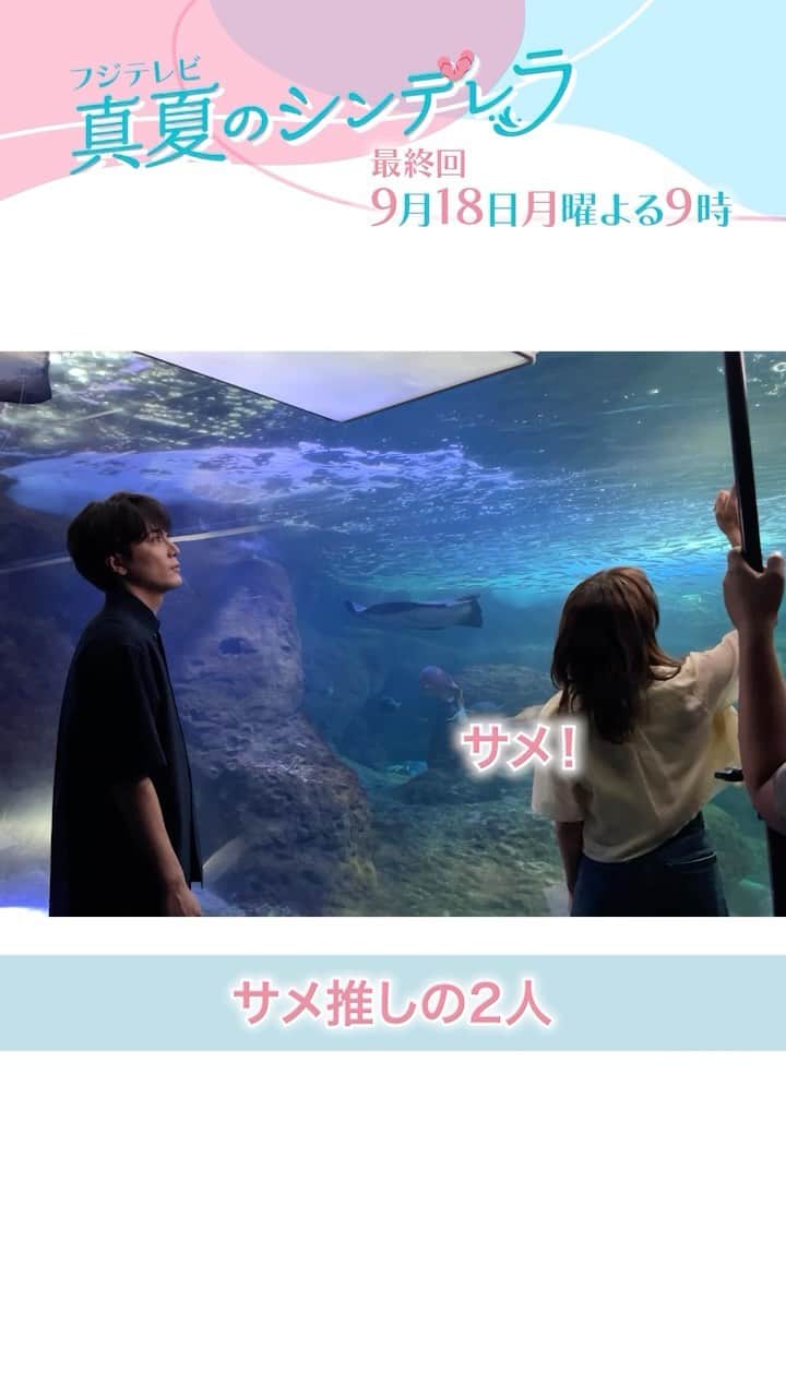 真夏のシンデレラのインスタグラム