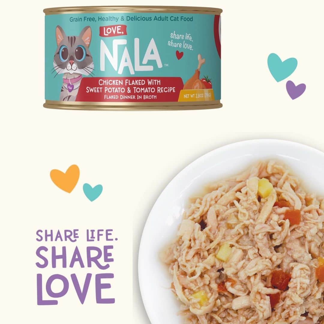 nala_catさんのインスタグラム写真 - (nala_catInstagram)「Share Life. Share Love ❤️ @lovenalaco  https://amzn.to/488sS0n  #love #lovenala #cat #catsofinstagram #meow」9月12日 20時13分 - nala_cat