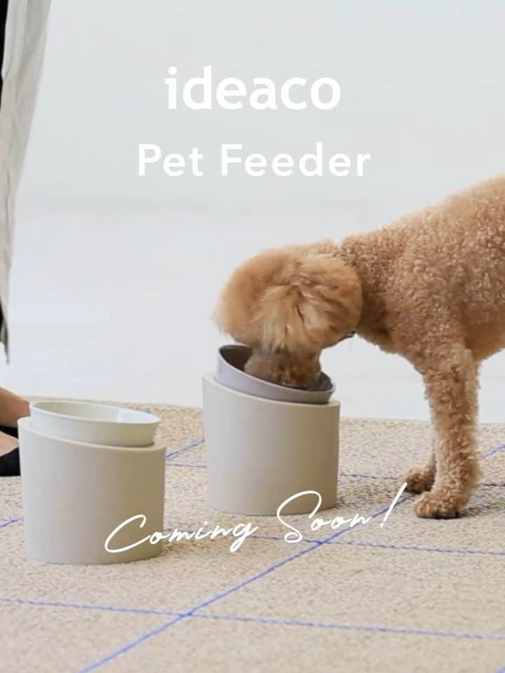 ideacoのインスタグラム：「・ ・  coming soon!!!!!!   食器とベースがセパレートになった ペット用フィーダー🐶  ideaco  Pet Feeder 2023年9月下旬頃入荷予定です☺︎  割れにくく、軽く、扱いやすい バンブーメラミンのうつわ 　　　　　× 天然石のパウダーを使った どっしり安定感のあるベース(土台)  こんなの待ってた✨て方も多いのでは？ 投稿でもこれからちょっとずつ紹介していきますね☺️ 詳しくは商品ページまで。 (こちらも少しずつ更新します)  #ideaco  #イデアコ  #新製品  #2023aw #ペットのいる暮らし  #犬のいる暮らし  #シンプルインテリア #ペットフィーダー #わんちゃんのいる生活  #ペット食器  #犬のいる暮し  #ペットグッズ  #ペット用品   - - - - - - - - - - - - -  ideacoのアカウントは @ideaco_design へ移行中です。 フォロー&タグ付けはこちらでお願いいたします☺︎」