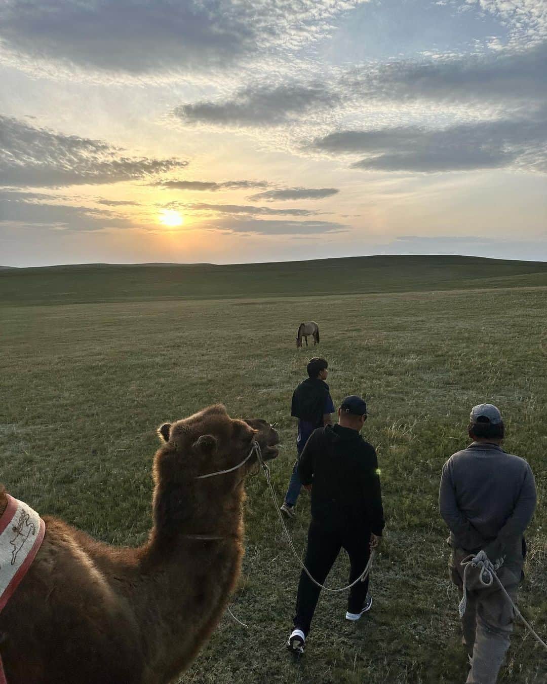 サヤカさんのインスタグラム写真 - (サヤカInstagram)「. モンゴル旅行🐪 ラクダも馬も乗れてサンセット見たり星見たりひたすらのんびりできて最高だった❣️  毎日羊ばっかり食べて🐏羊になりそうだった💓  #モンゴル旅行#hskhaanresort #ウランバートル」9月12日 20時32分 - saya._.workout