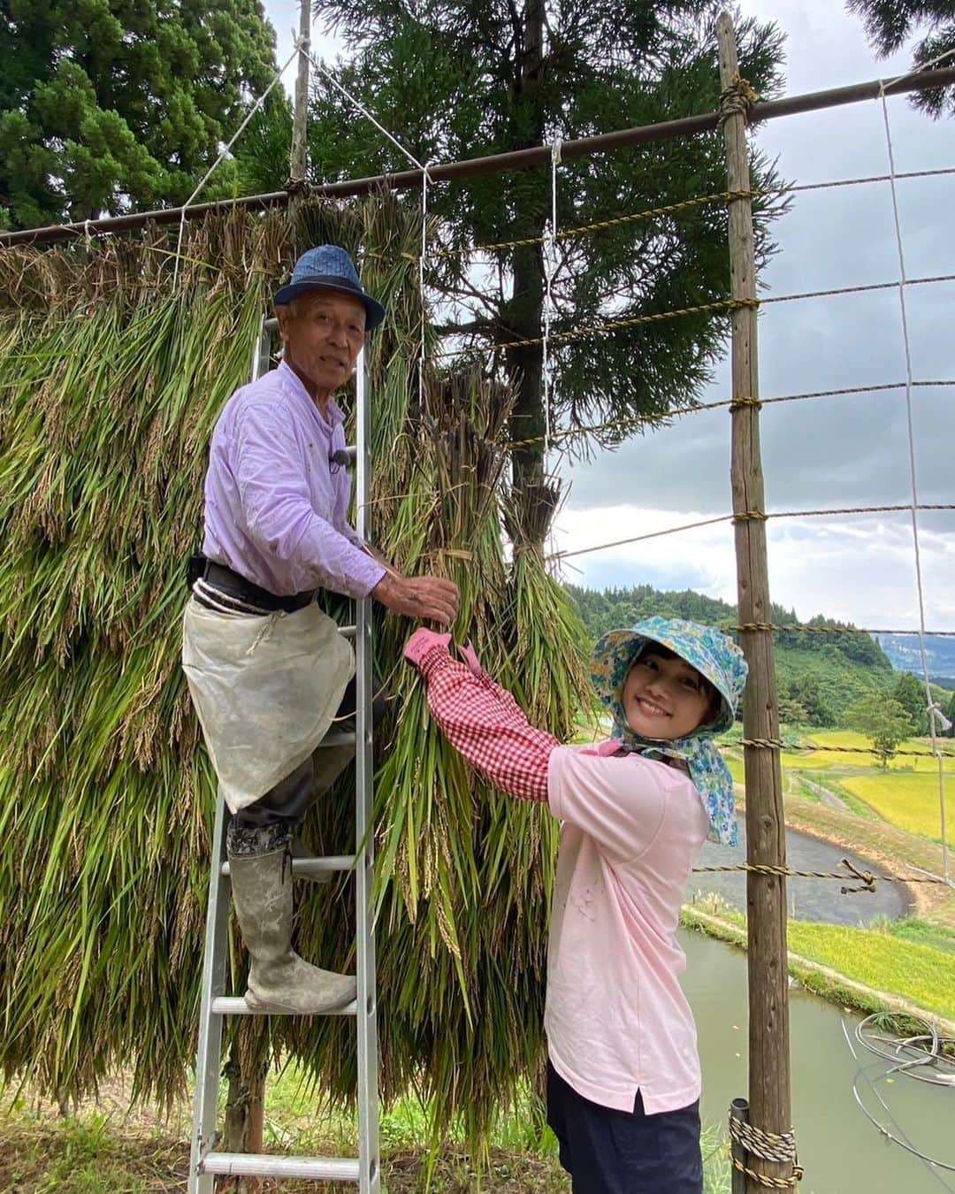 松本亜美のインスタグラム：「きのうの自然派 田んぼにコイして🌾 今年は古代米作りにチャレンジしています！コシヒカリよりも早めに稲刈りのシーズンを迎えたということで、師匠と自然派田んぼ応援隊の皆さんと共に1年ぶりの稲刈りをしました！！  稲を刈るのはゆっくりできるのですが、稲をまとめるのが難しい🥲 どっちが上？どうやってねじるの？ ハテナがいっぱい飛びつつ、何度も繰り返し結ぶことでなんとか習得！ 次のコシヒカリの稲刈りの時にちゃんとできるのか… ハラハラしつつも、引き続き練習を重ねようと思います！  錦鯉もたくさん放したので捕まえるのに一苦労💦 元気いっぱい育っているということがわかるのですが、素早い動きについていけませんでした😂  稲刈り後は地元の皆さんが集まって体操をしていたところに潜入👀 腰を丸めて作業をすることが多い田んぼなので、気持ちよくストレッチができました☀️ 先生のおかげで皆さん終始笑顔で賑やかな時間を過ごせました！ またぜひ一緒にストレッチをしたいです♪  #teny #テレビ新潟  #夕方ワイド新潟一番  #自然派 #田んぼにコイして  #自然派田んぼ #あみ田んぼ  #稲刈り #古代米 #錦鯉  #結び方 #難しい  #健康いきいき体操 #気持ち良い  #アナウンサー  #松本亜美」