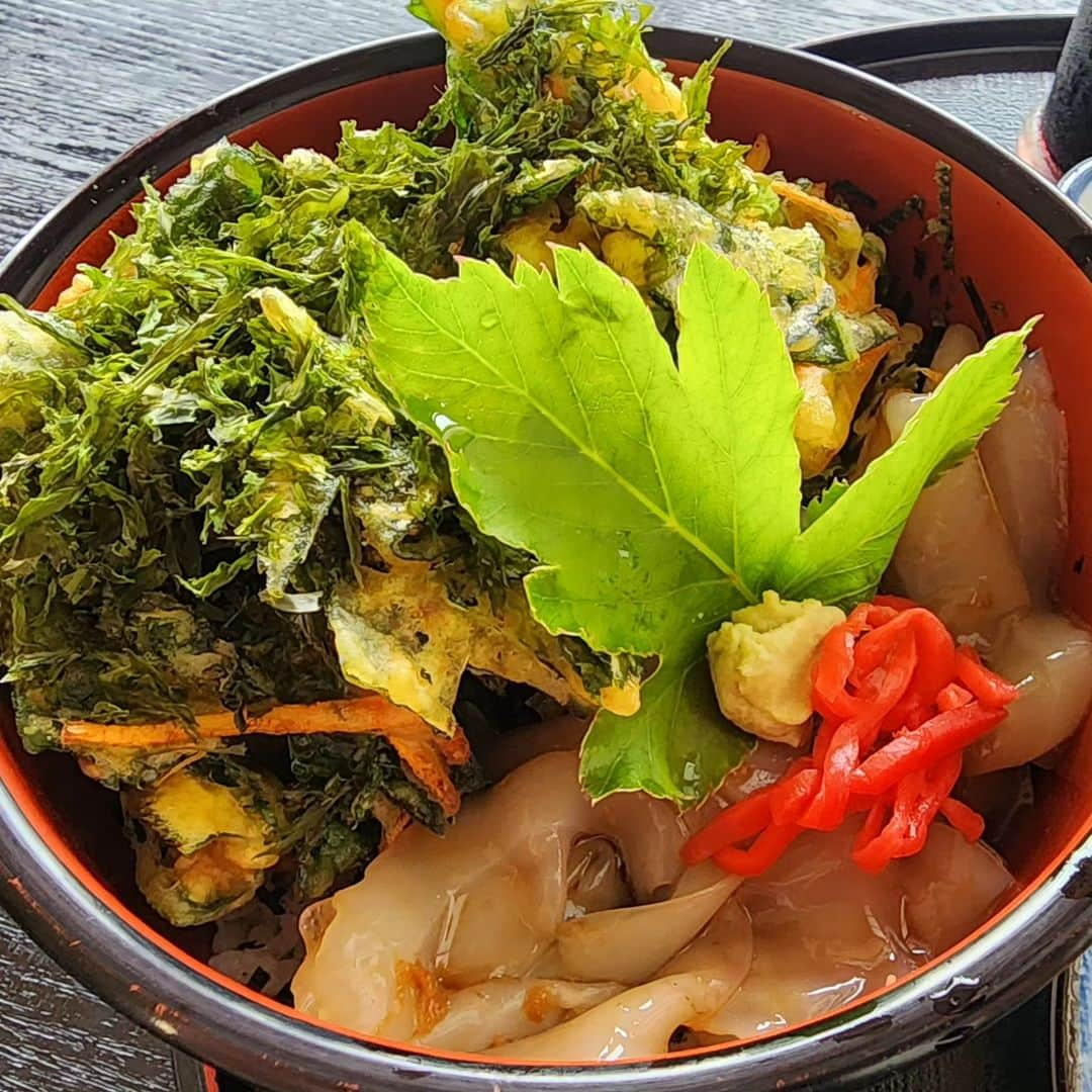 野田幸宏のインスタグラム：「海苔丼 #初島  #熱海  #海苔丼  #のり丼  #イカ」