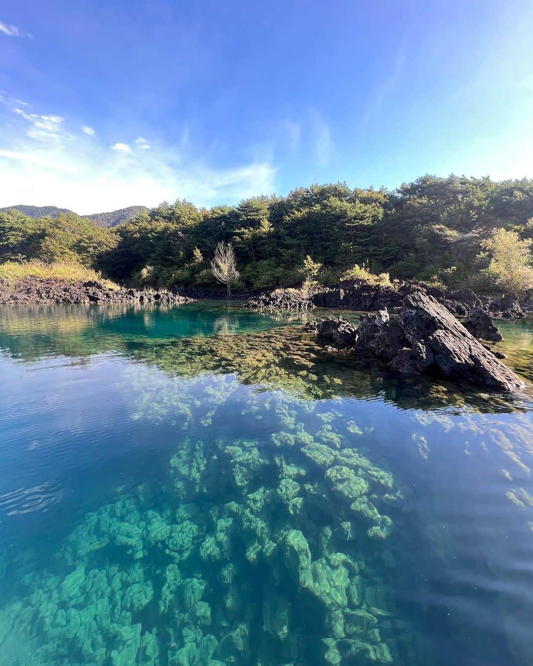 池内博之さんのインスタグラム写真 - (池内博之Instagram)「本栖湖 透明度が半端ないっす。」9月13日 6時57分 - hiroyuki.ikeuchi