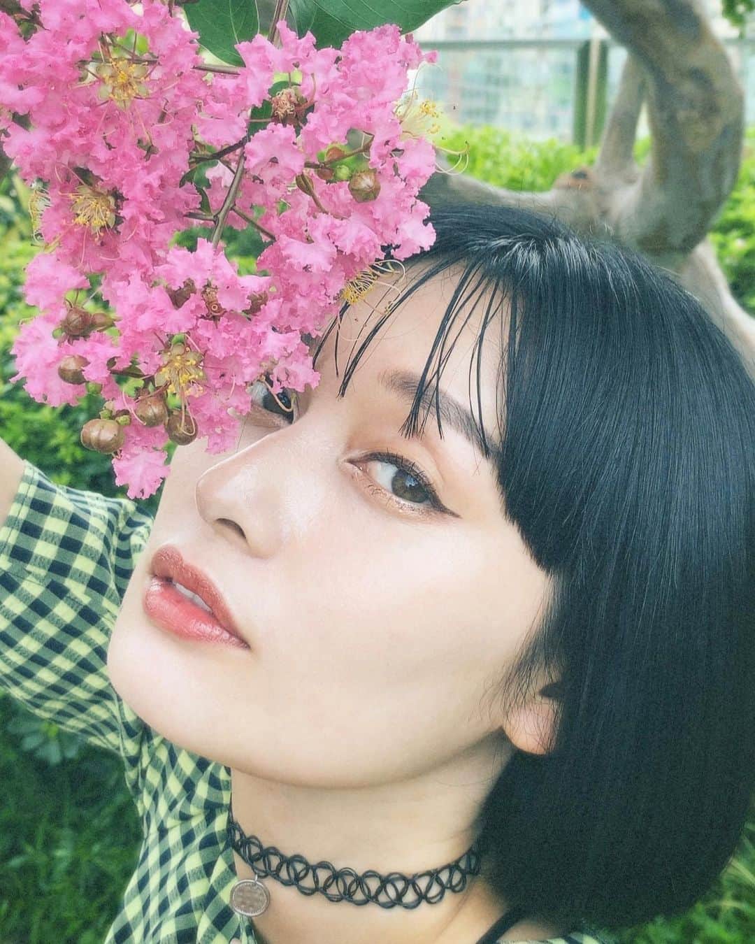 佐藤乃莉のインスタグラム：「おはよう🌺  素敵な一日を…  #花#pic#flower」