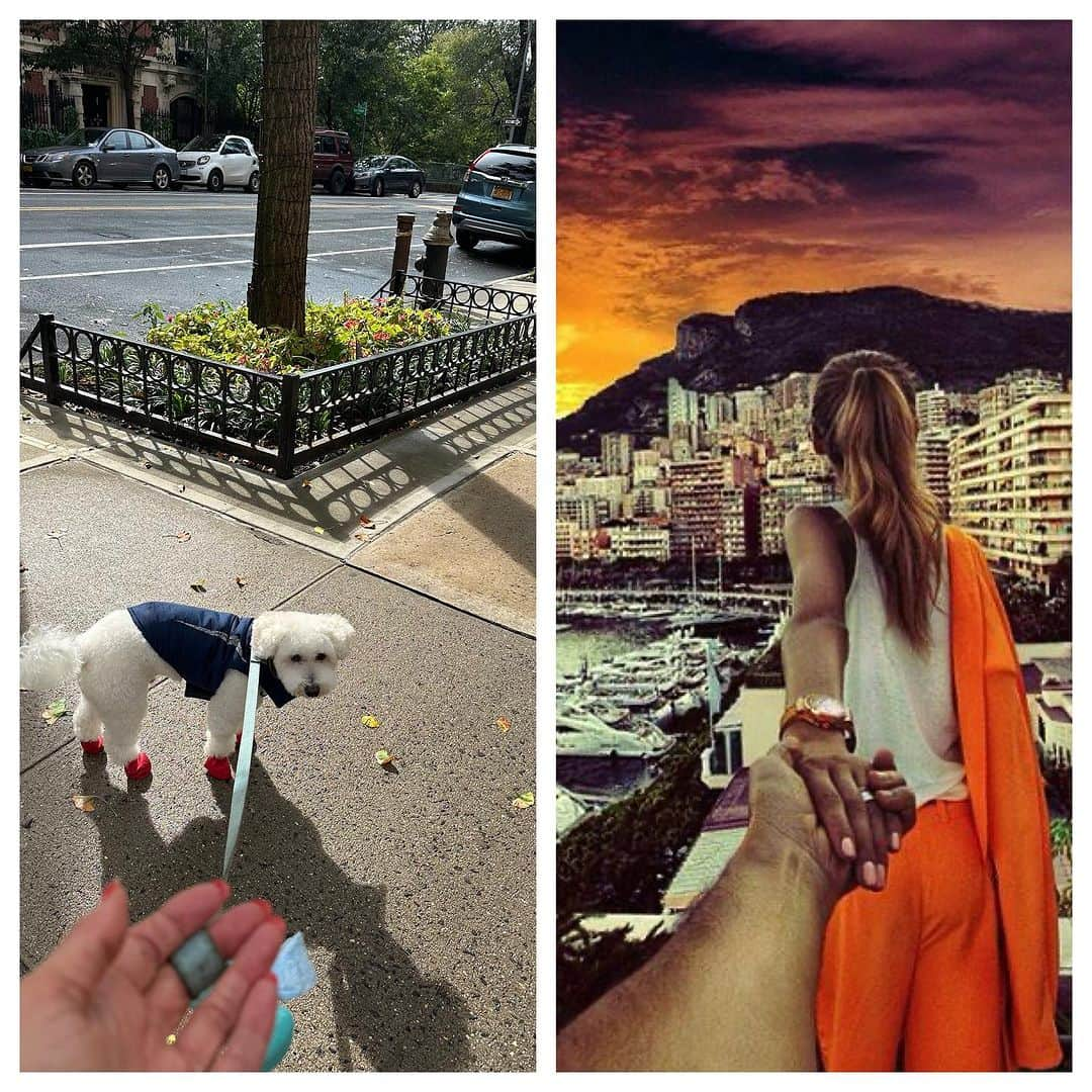 カリスマ・カーペンターのインスタグラム：「Same same. 🤝🐶」