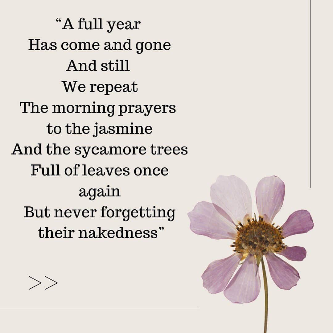 ベス・ベアーズのインスタグラム：「New @substackinc DEAR EGG poem for my daughter after a year together. Link in bio!💛🫶🏻」