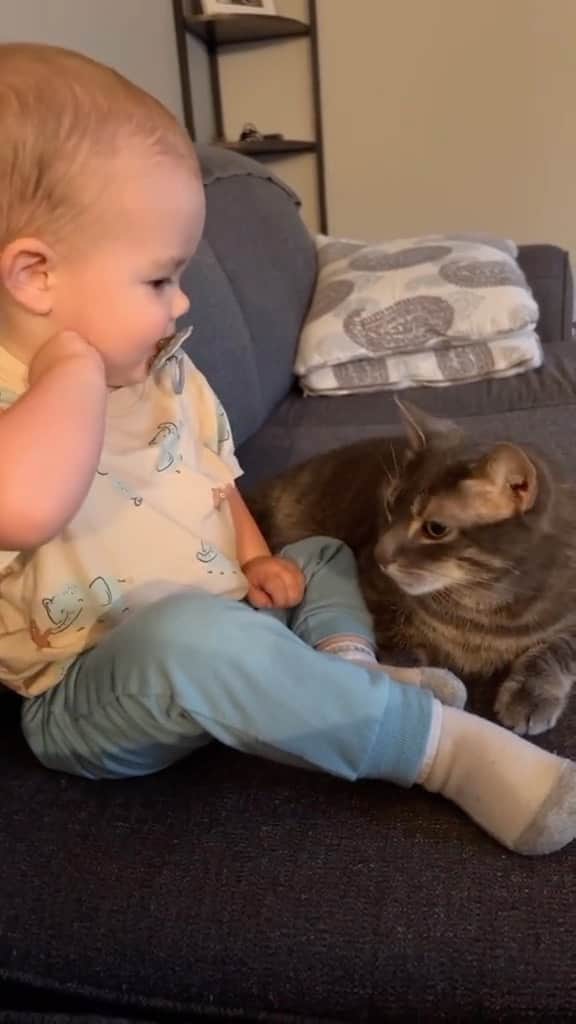 のインスタグラム：「cats and babies are my favorite duos  Credit: awesome k_rae_c (tt) ** For all crediting issues and removals pls 𝐄𝐦𝐚𝐢𝐥 𝐮𝐬 ☺️  𝐍𝐨𝐭𝐞: we don’t own this video/pics, all rights go to their respective owners. If owner is not provided, tagged (meaning we couldn’t find who is the owner), 𝐩𝐥𝐬 𝐄𝐦𝐚𝐢𝐥 𝐮𝐬 with 𝐬𝐮𝐛𝐣𝐞𝐜𝐭 “𝐂𝐫𝐞𝐝𝐢𝐭 𝐈𝐬𝐬𝐮𝐞𝐬” and 𝐨𝐰𝐧𝐞𝐫 𝐰𝐢𝐥𝐥 𝐛𝐞 𝐭𝐚𝐠𝐠𝐞𝐝 𝐬𝐡𝐨𝐫𝐭𝐥𝐲 𝐚𝐟𝐭𝐞𝐫.  We have been building this community for over 6 years, but 𝐞𝐯𝐞𝐫𝐲 𝐫𝐞𝐩𝐨𝐫𝐭 𝐜𝐨𝐮𝐥𝐝 𝐠𝐞𝐭 𝐨𝐮𝐫 𝐩𝐚𝐠𝐞 𝐝𝐞𝐥𝐞𝐭𝐞𝐝, pls email us first. **」