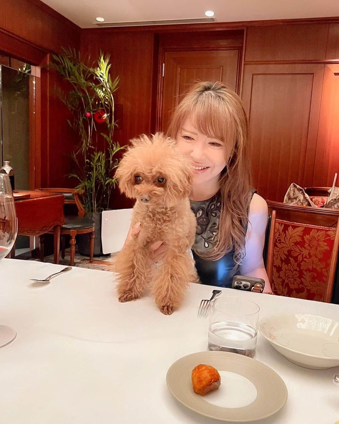 美香さんのインスタグラム写真 - (美香Instagram)「先月の愛犬のバースデーに続き、今月も大切💖な家族のバースデイでひらまつへ行ってきました‼️  もちろん愛犬も連れて行きました⭐️  数あるレストランの中、ひらまつさんのサービスは最高だと思います♡数あるレストランの中、平松のサービスが最高だと思います  家族も喜んでくれてよかった💖  スペシャルオケージョンにぴったりのレストランだと思います❣️  私がホテルレストランが苦手な理由の1つにサービスがいまいちだなぁと思うことがよくあります！ 時給いくらの人に最高のサービスはわからないんだろうなって思います  最後のpicは中川シェフが愛犬のために作ってくれた牛ヒレ肉とじゃがいもとニンジンのおいしそうな1皿です⭐️⭐️⭐️  #ワイン #フレンチレストラン #お誕生日のお祝い #生まれてきてくれてありがとう #記念日 #レストランひらまつ」9月13日 0時21分 - mika_richlife