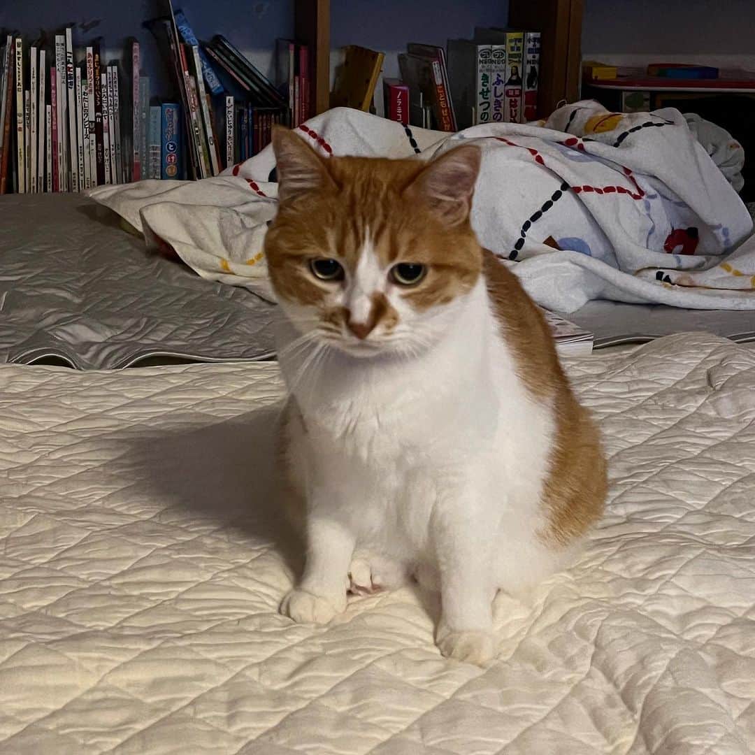 Kachimo Yoshimatsuのインスタグラム