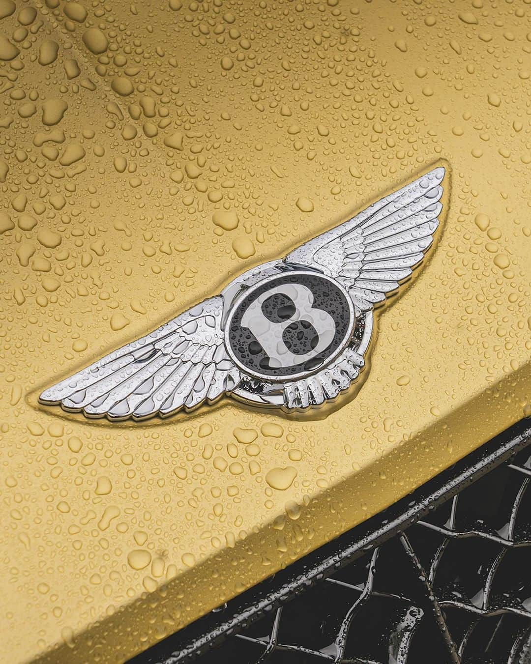 ベントレーのインスタグラム：「Come rain or shine, we always look good…  #Bentley」