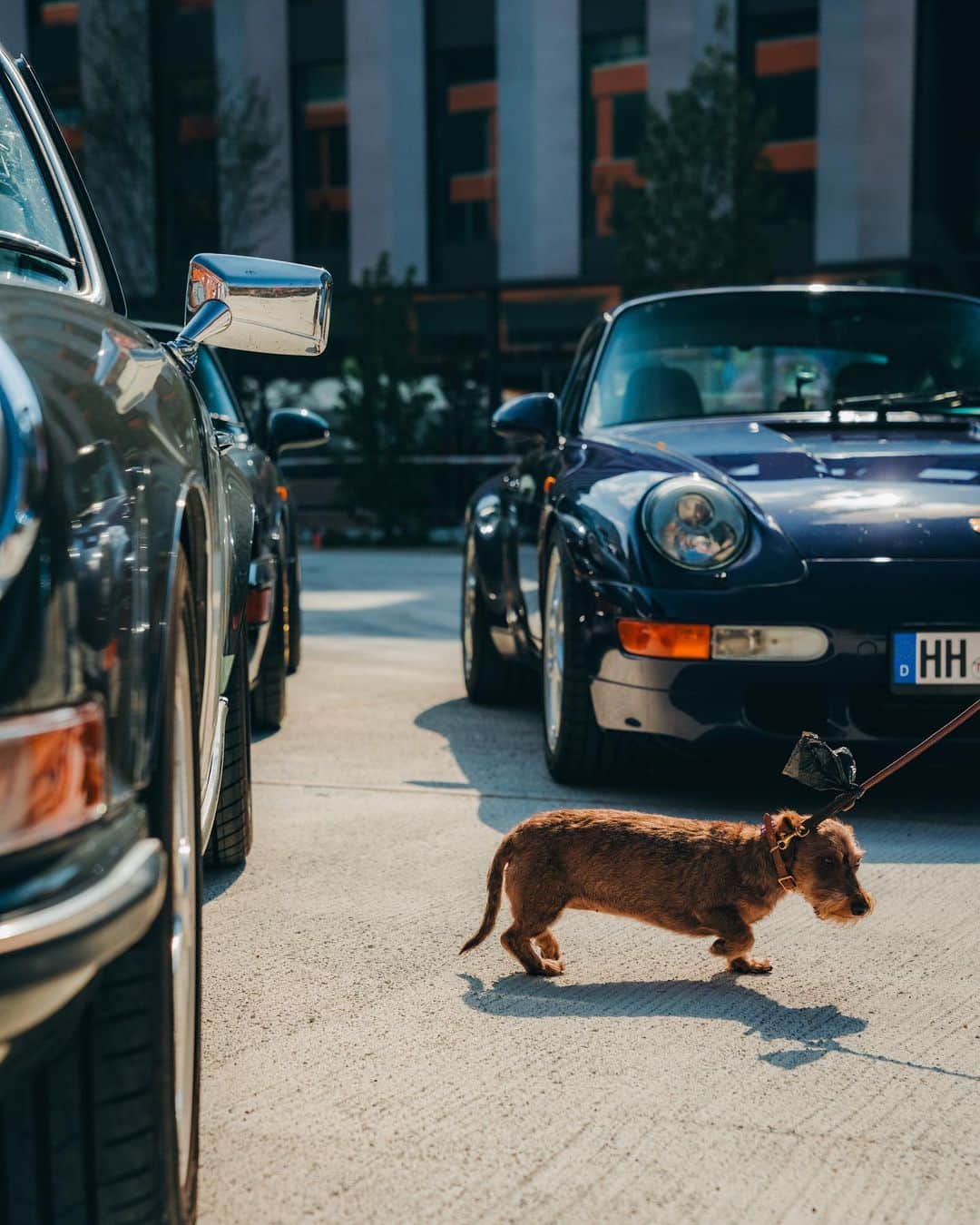 Porscheさんのインスタグラム写真 - (PorscheInstagram)「Porsche & Coffee – 911 style 🧡  This weekend, our Porsche community gathered in Munich to celebrate six decades of the 911. Together they assembled a line-up that paid fitting tribute across its 60 years. Up next? Taking these cars on a special road trip. Stay tuned! 🏔️」9月13日 1時00分 - porsche